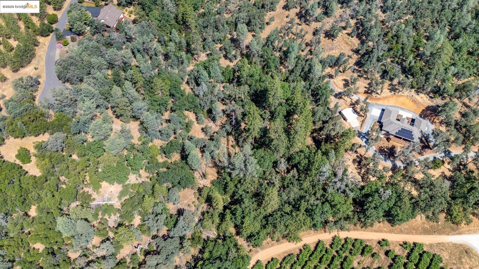 Detail Gallery Image 7 of 21 For 14464 Lorraine Lane, Sonora,  CA 95370 - – Beds | – Baths