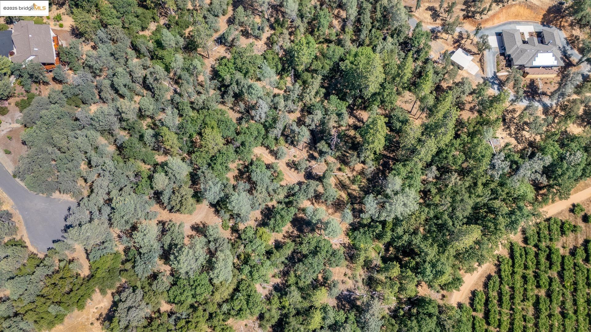 Detail Gallery Image 9 of 21 For 14464 Lorraine Lane, Sonora,  CA 95370 - – Beds | – Baths