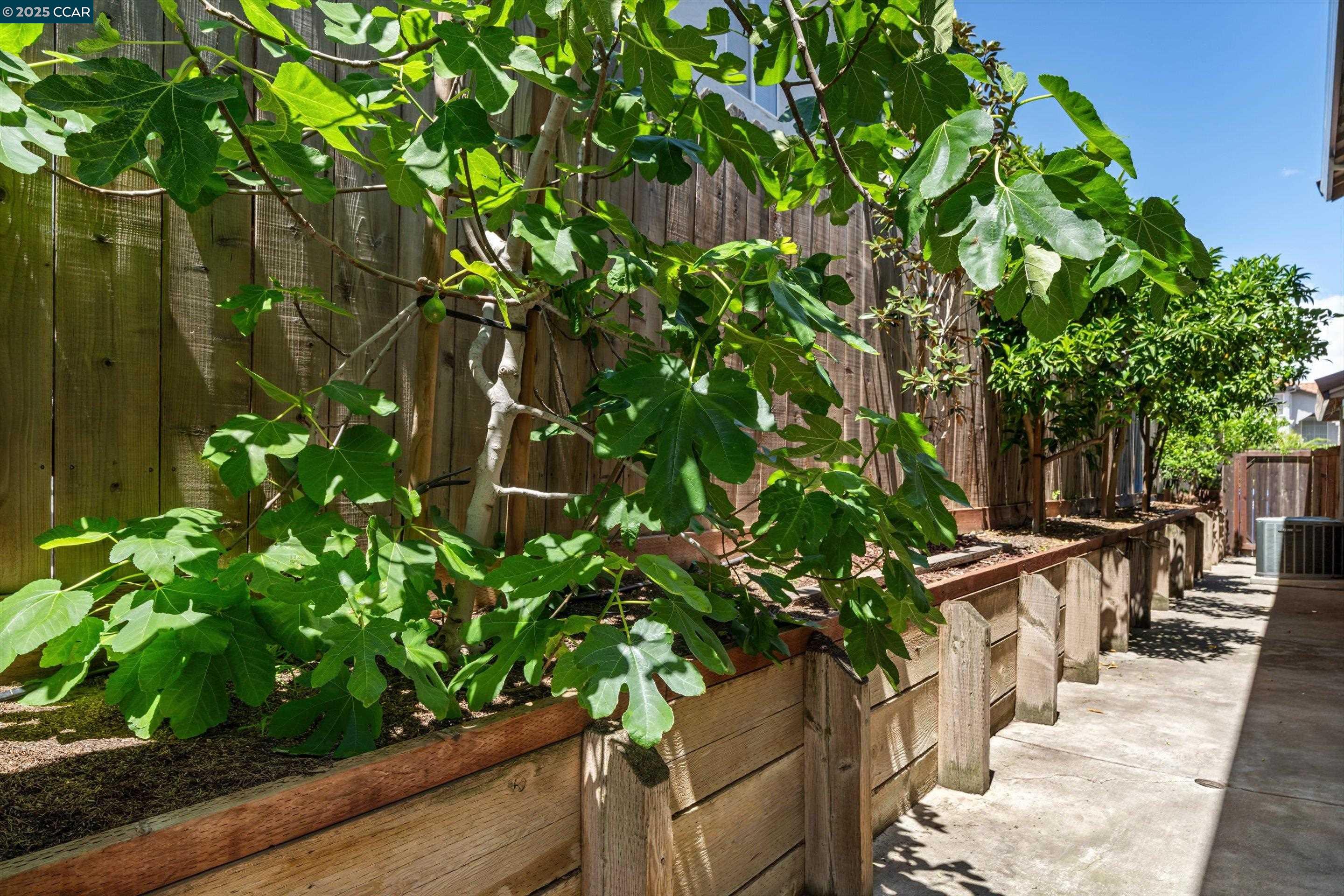 Detail Gallery Image 28 of 33 For 2057 Rapallo Way, Bay Point,  CA 94565 - 4 Beds | 3 Baths