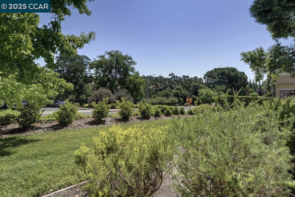 Front Image Thumbnail for CC41102898