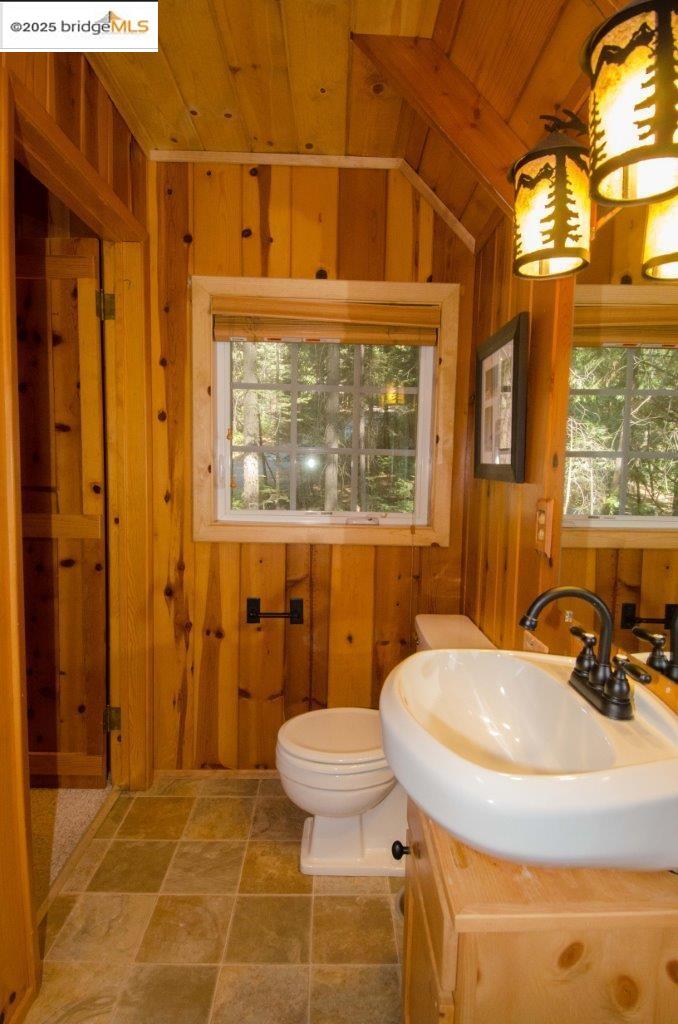 Detail Gallery Image 46 of 56 For 20625 Wuke Lane, Mi Wuk Village,  CA 95346 - 4 Beds | 2 Baths