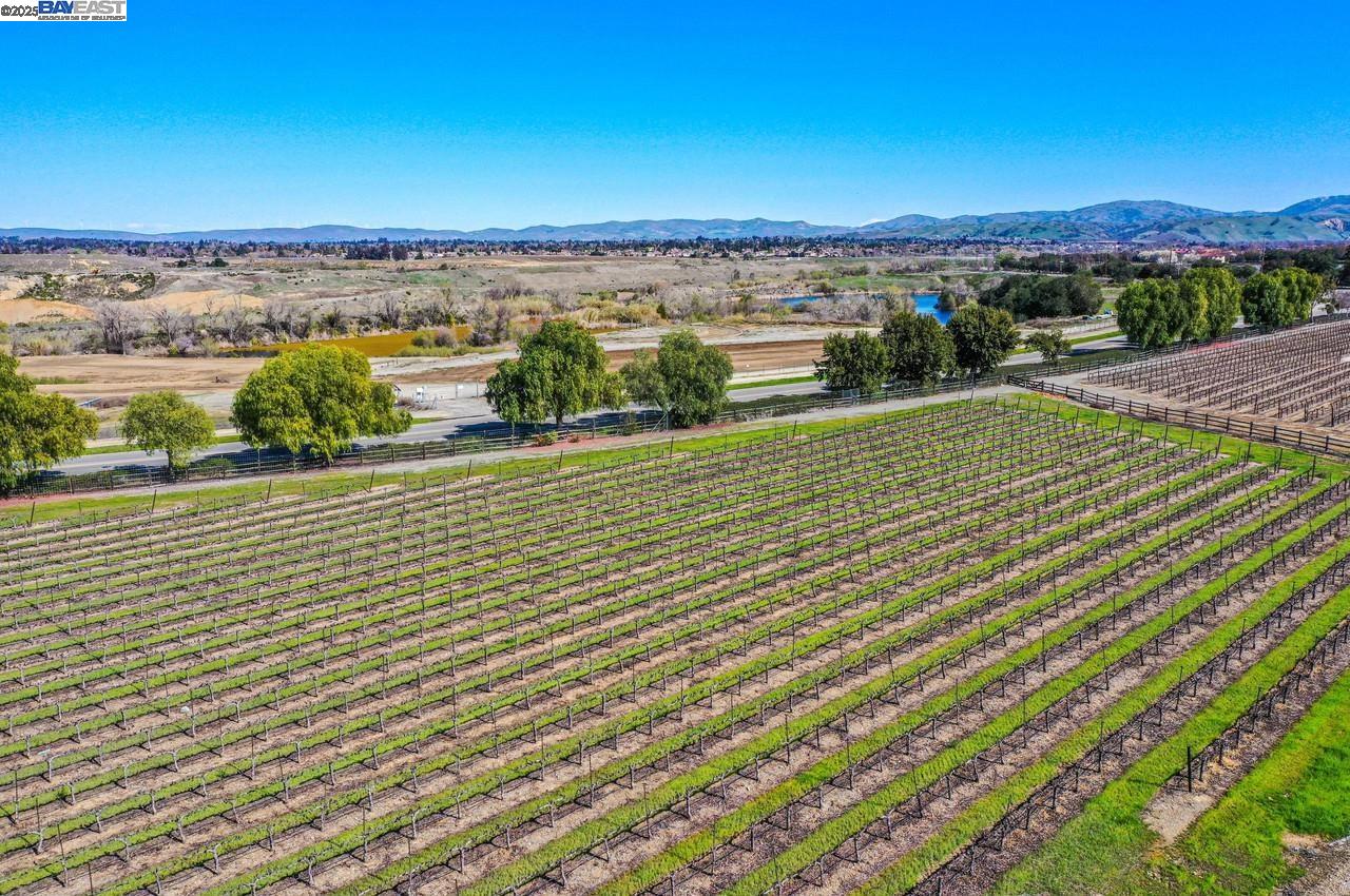 Detail Gallery Image 52 of 53 For 942 Finovino Ct, Pleasanton,  CA 94566 - 4 Beds | 2/1 Baths