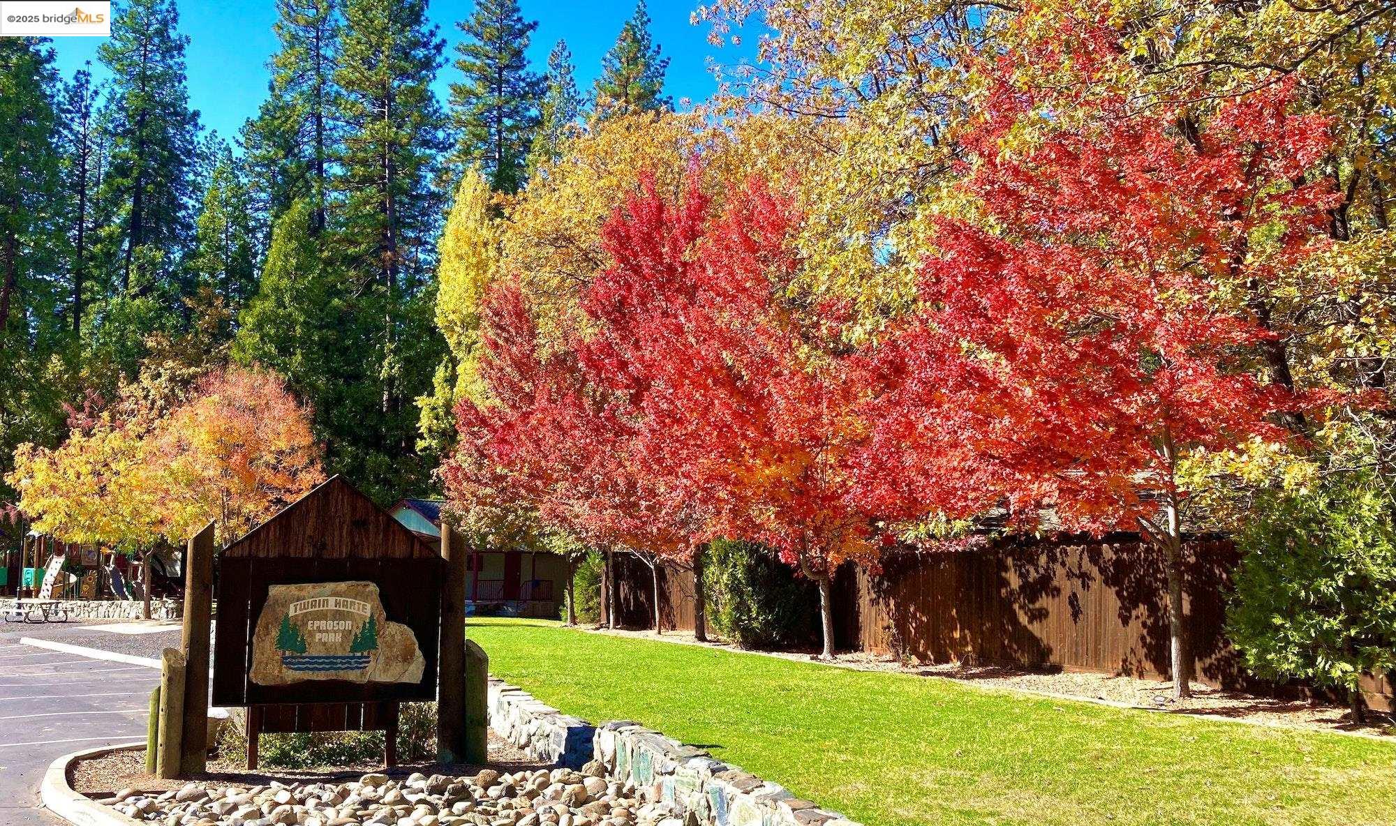 Detail Gallery Image 53 of 60 For 22529 Golf Club Dr, Twain Harte,  CA 95383 - 3 Beds | 2 Baths