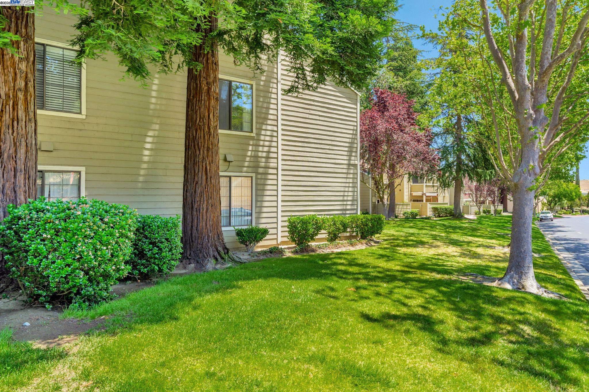 Photo #36: 41102954 Listing: Photo #36