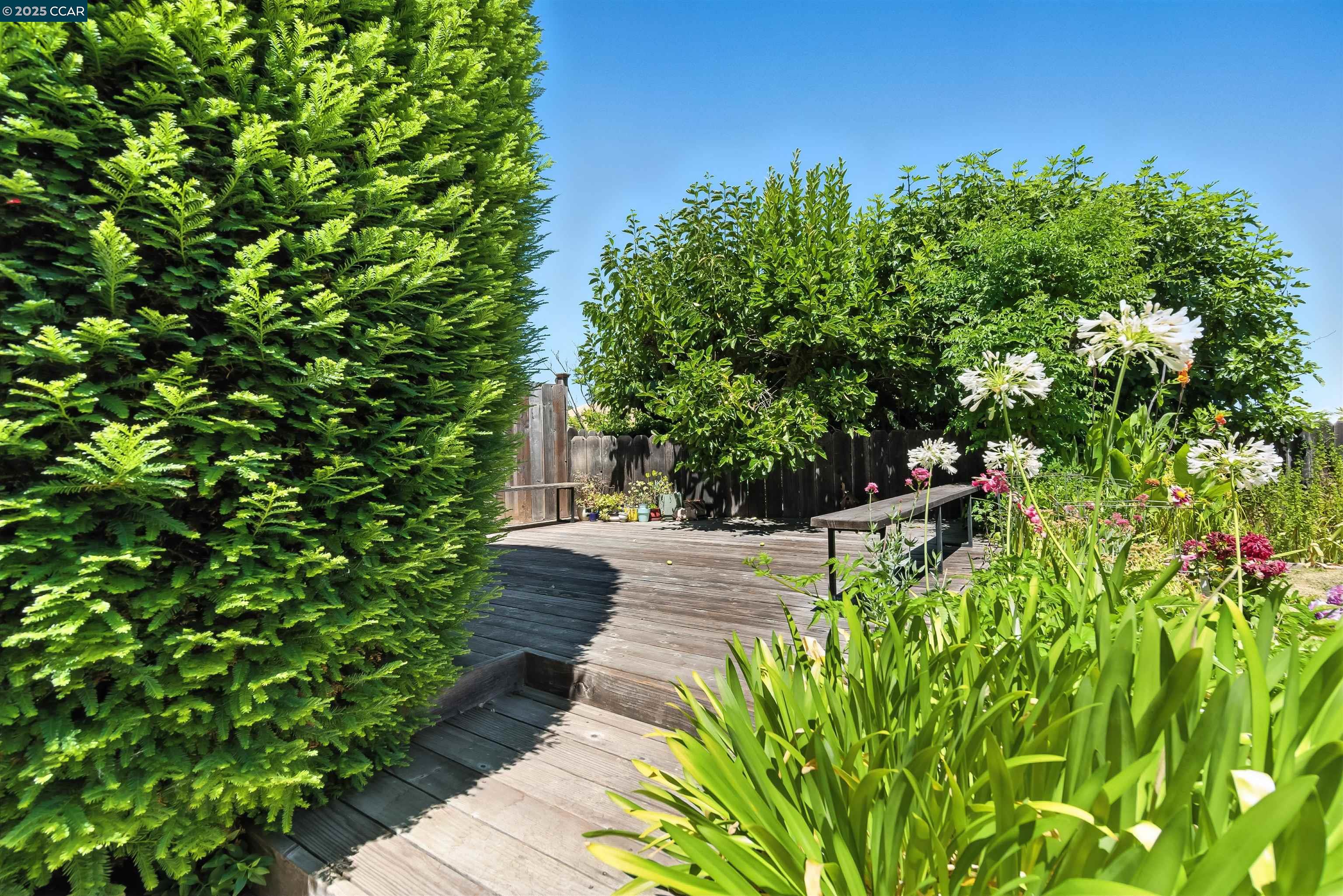Detail Gallery Image 29 of 36 For 6521 Westfield Ct, Martinez,  CA 94553 - 4 Beds | 3 Baths