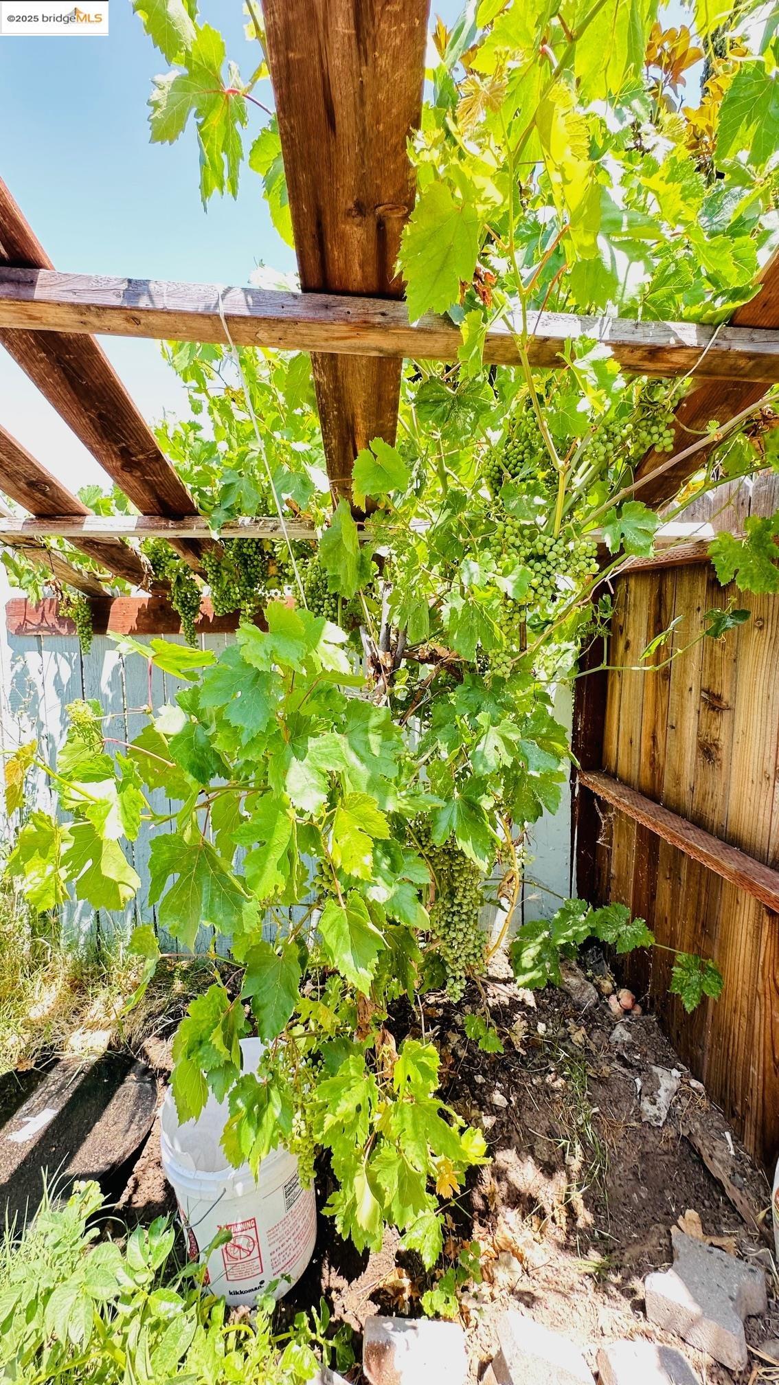 Detail Gallery Image 3 of 17 For 7762 Lytle Street, Sacramento,  CA 95832 - 3 Beds | 2 Baths