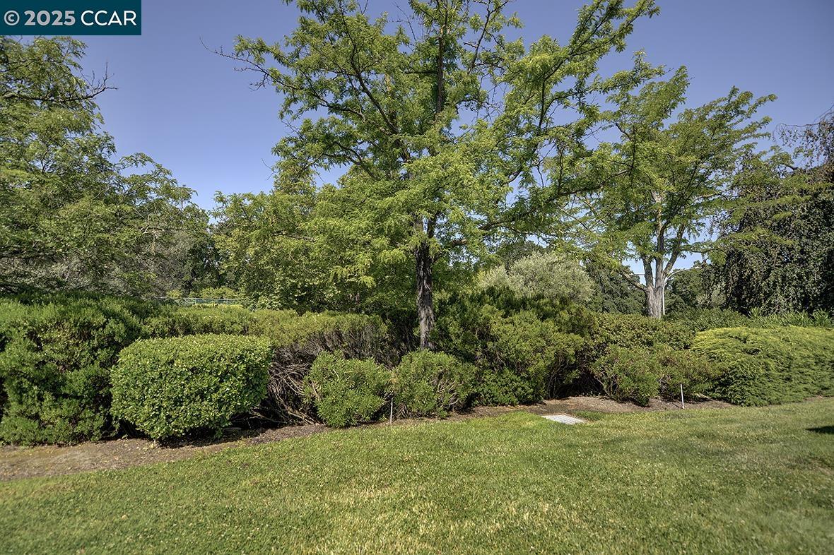 Thumbnail for 2607 Saklan Indian Dr #2,  Walnut Creek, CA 94595