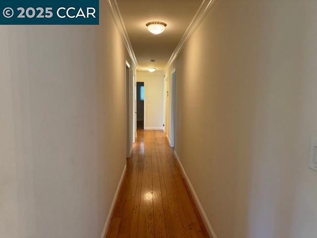 1901 Park Meadow, Alamo, California 94507, 4 Bedrooms Bedrooms, 10 Rooms Rooms,2 BathroomsBathrooms,Residential Lease,For Rent,1901 Park Meadow,41103123