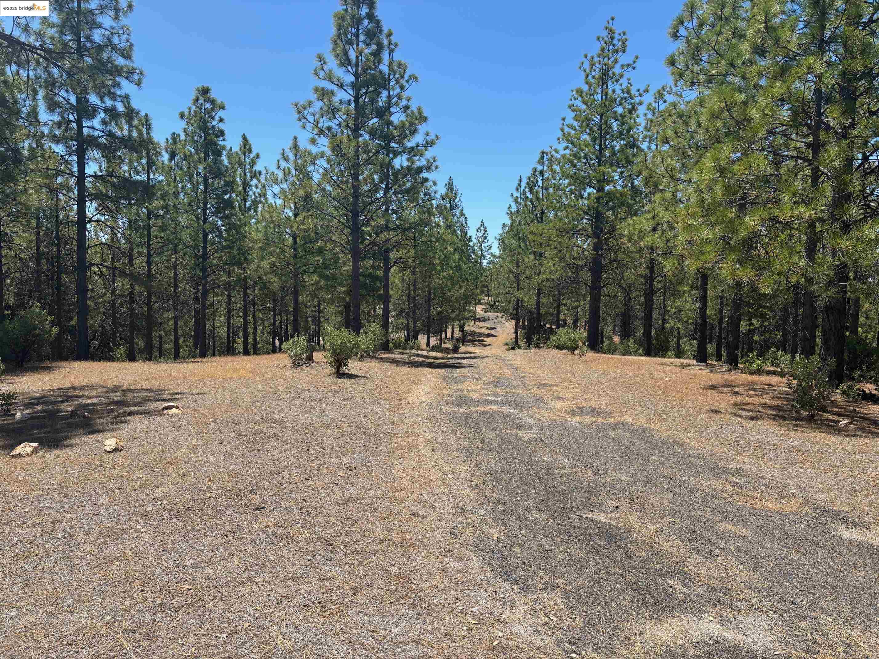 Detail Gallery Image 2 of 46 For 9587 Bondurant Mine Rd., Coulterville,  CA 95311-9534 - 2 Beds | 1 Baths
