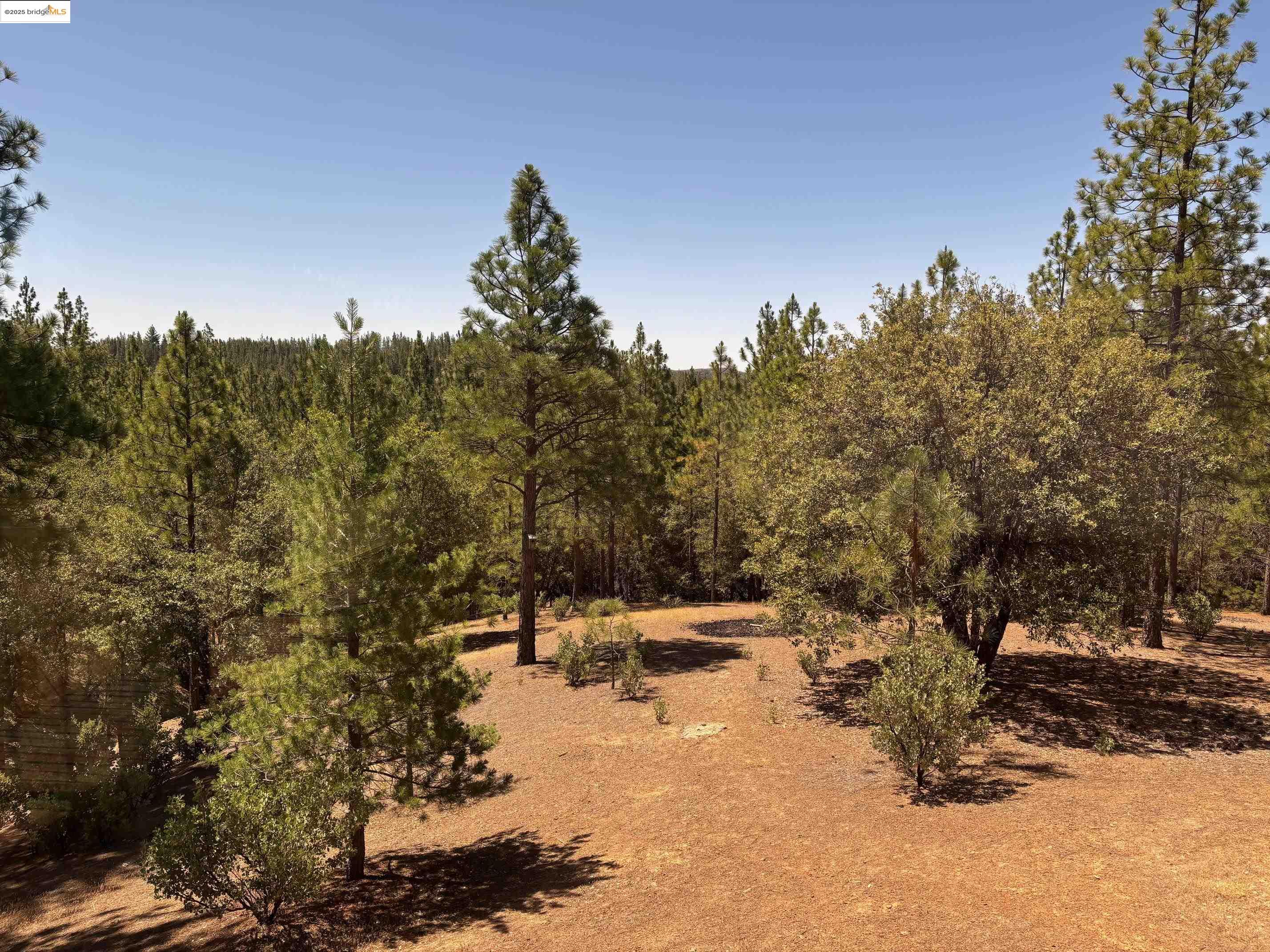 Detail Gallery Image 44 of 46 For 9587 Bondurant Mine Rd., Coulterville,  CA 95311-9534 - 2 Beds | 1 Baths
