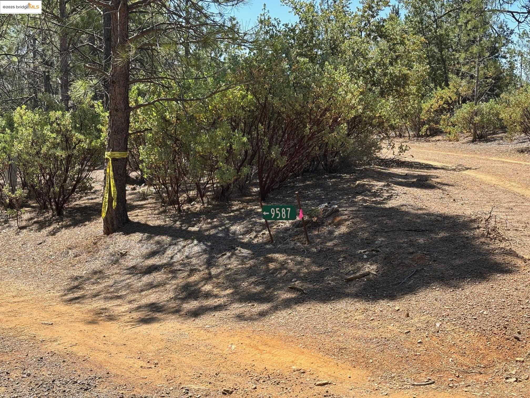 Detail Gallery Image 46 of 46 For 9587 Bondurant Mine Rd., Coulterville,  CA 95311-9534 - 2 Beds | 1 Baths
