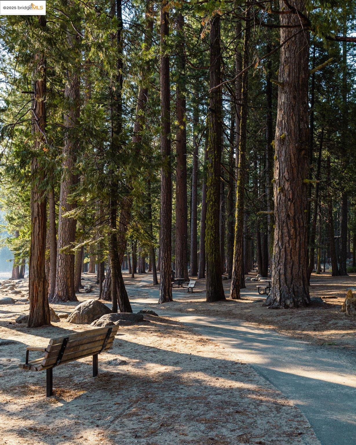 Detail Gallery Image 42 of 50 For 26609 Old Mono Rd., Cold Springs,  CA 95335 - 4 Beds | 1 Baths