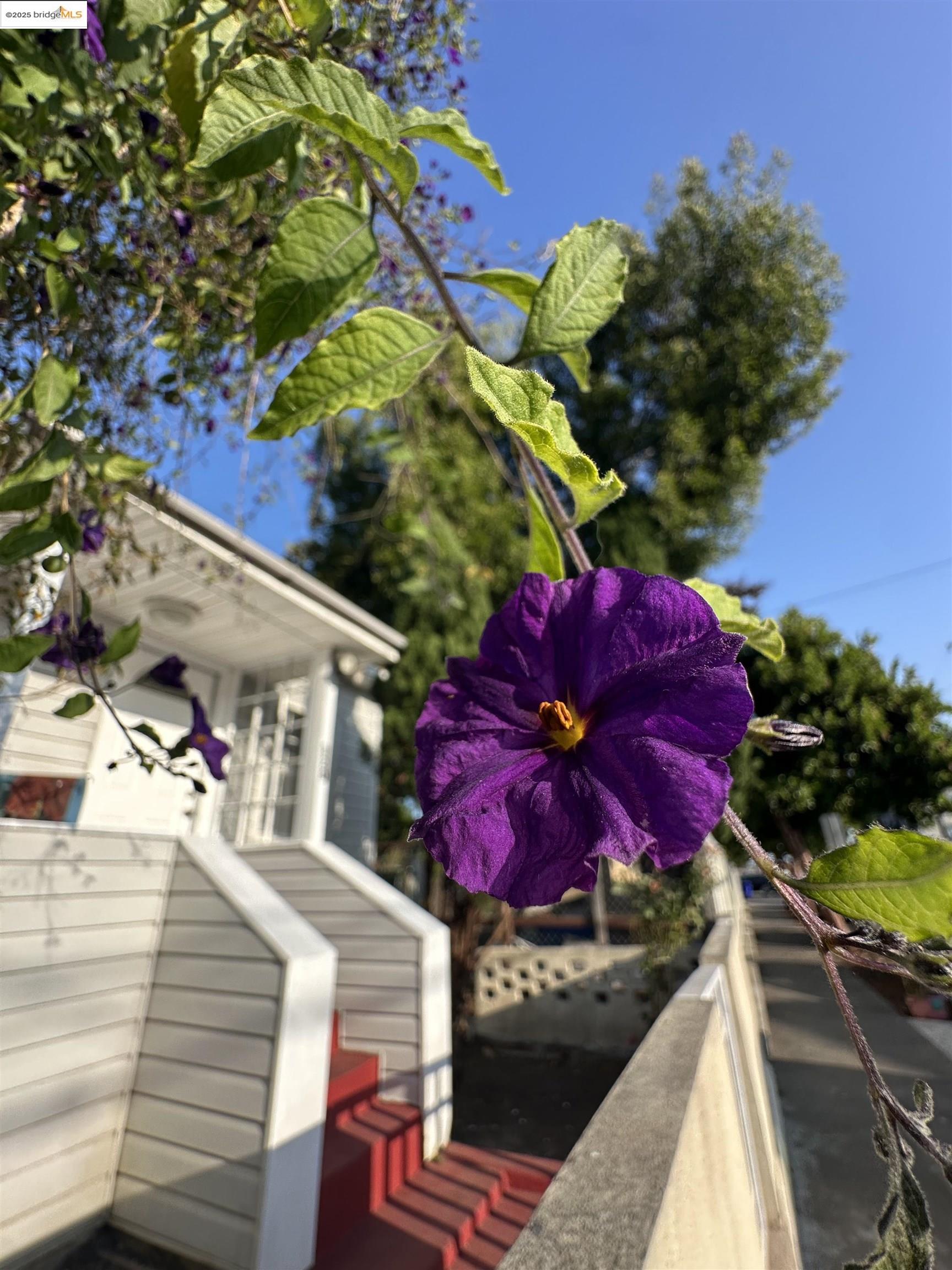 Detail Gallery Image 9 of 53 For 120 16th St, Richmond,  CA 94801 - 2 Beds | 1 Baths