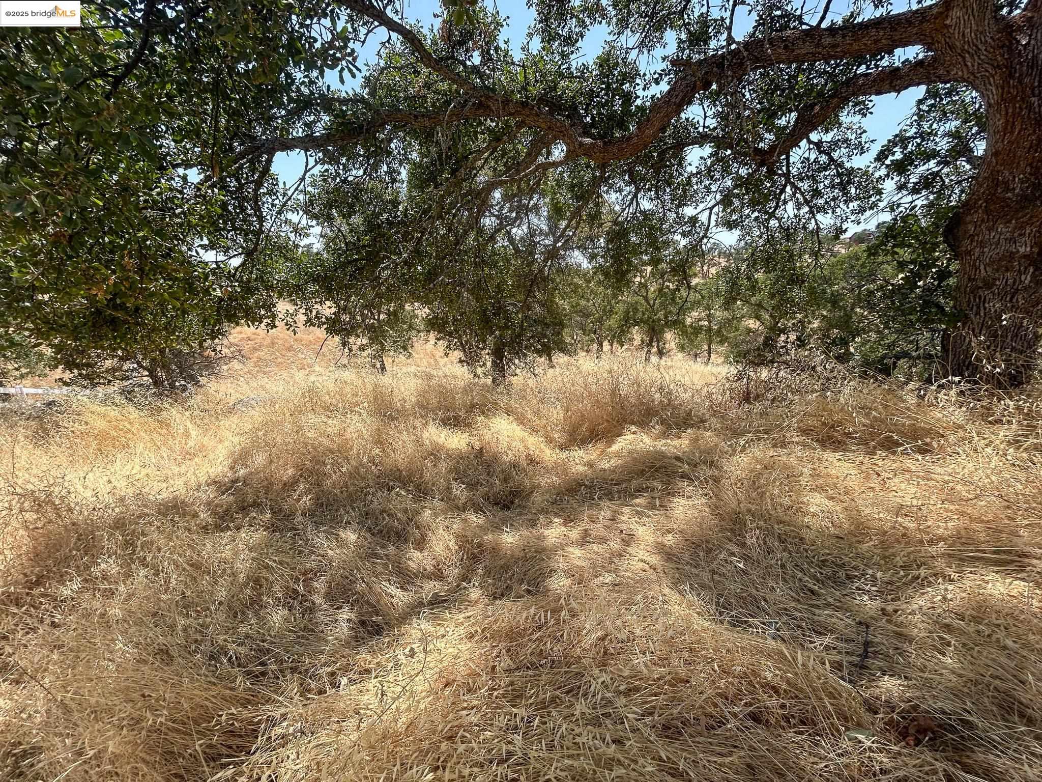 Detail Gallery Image 7 of 7 For 850 Arbolada Drive, La Grange,  CA 95329 - – Beds | – Baths