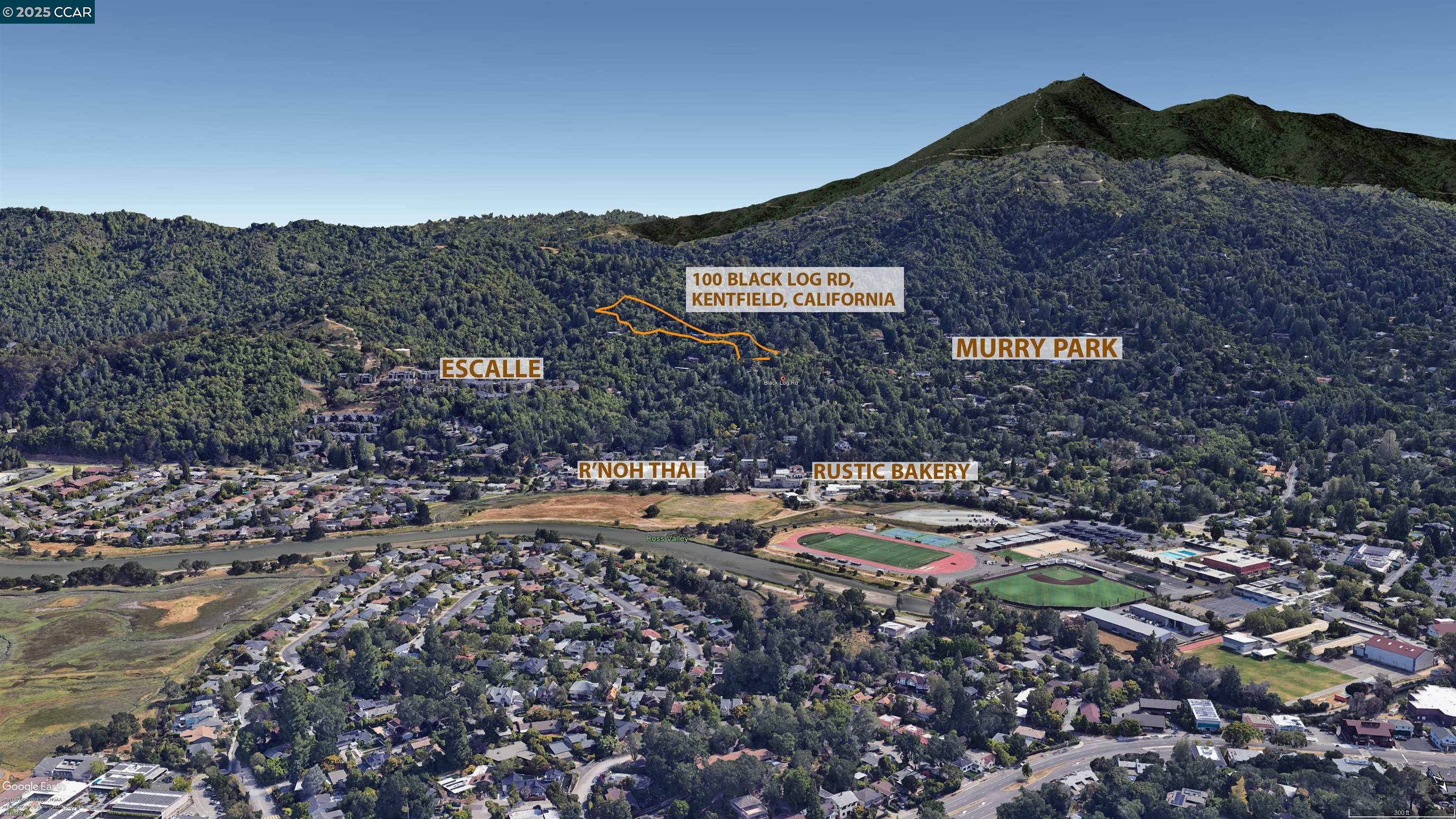 100 Black Log Rd, Kentfield, California 94904, ,Land,For Sale,100 Black Log Rd,41103216