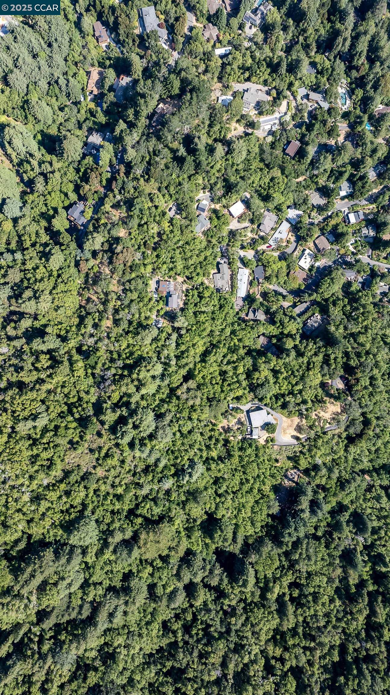 100 Black Log Rd, Kentfield, California 94904, ,Land,For Sale,100 Black Log Rd,41103216