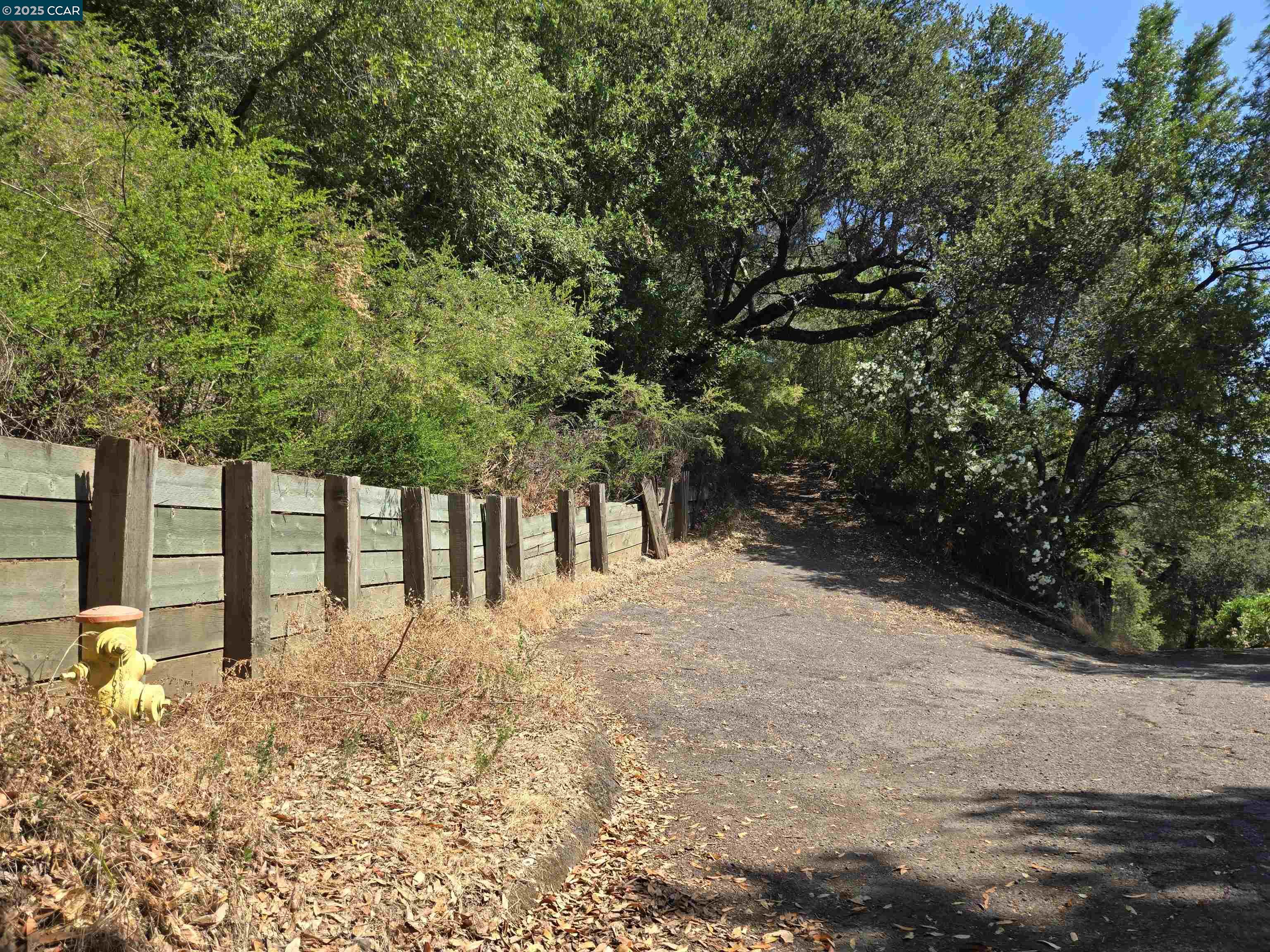 100 Black Log Rd, Kentfield, California 94904, ,Land,For Sale,100 Black Log Rd,41103216