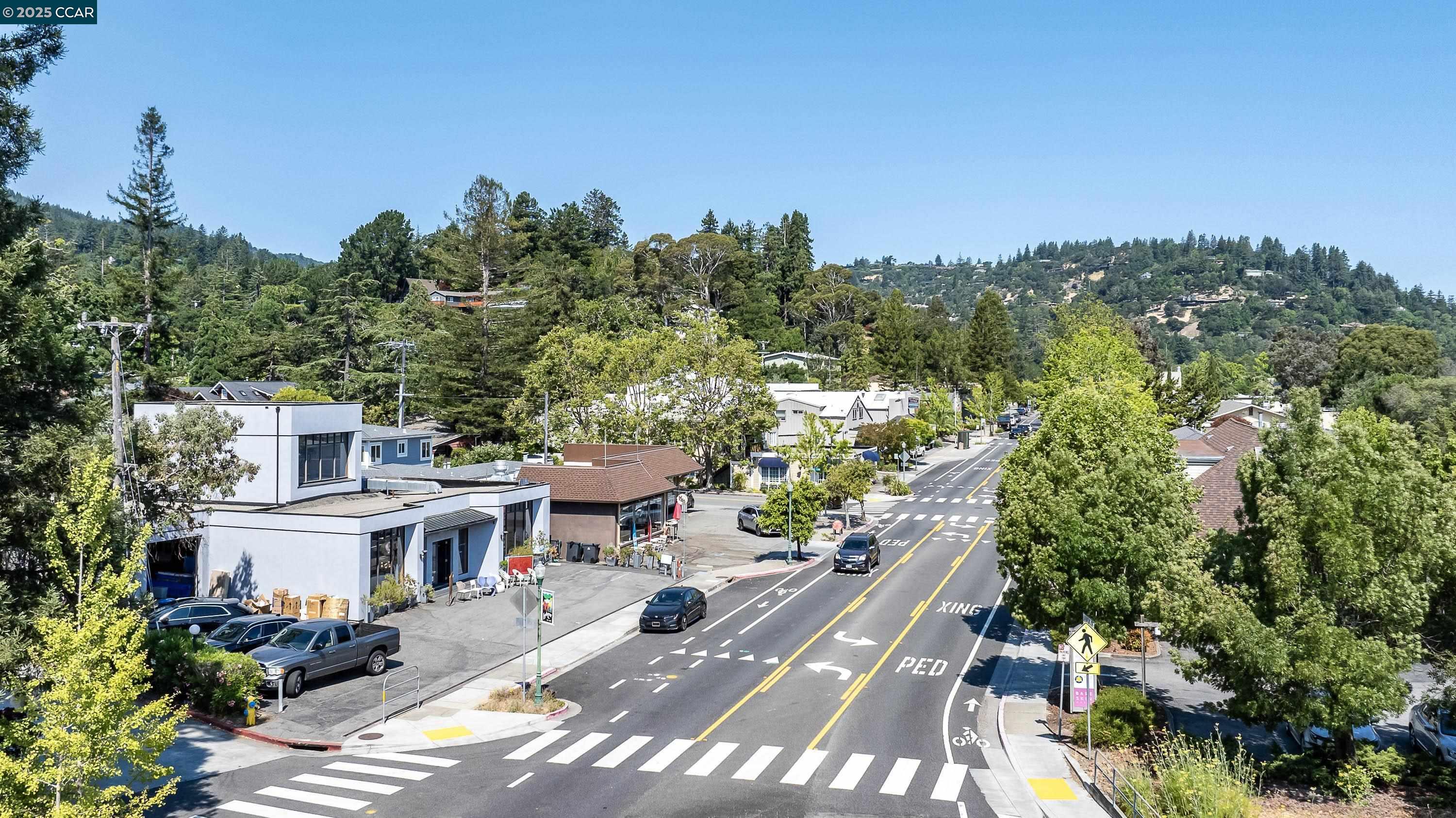 100 Black Log Rd, Kentfield, California 94904, ,Land,For Sale,100 Black Log Rd,41103216