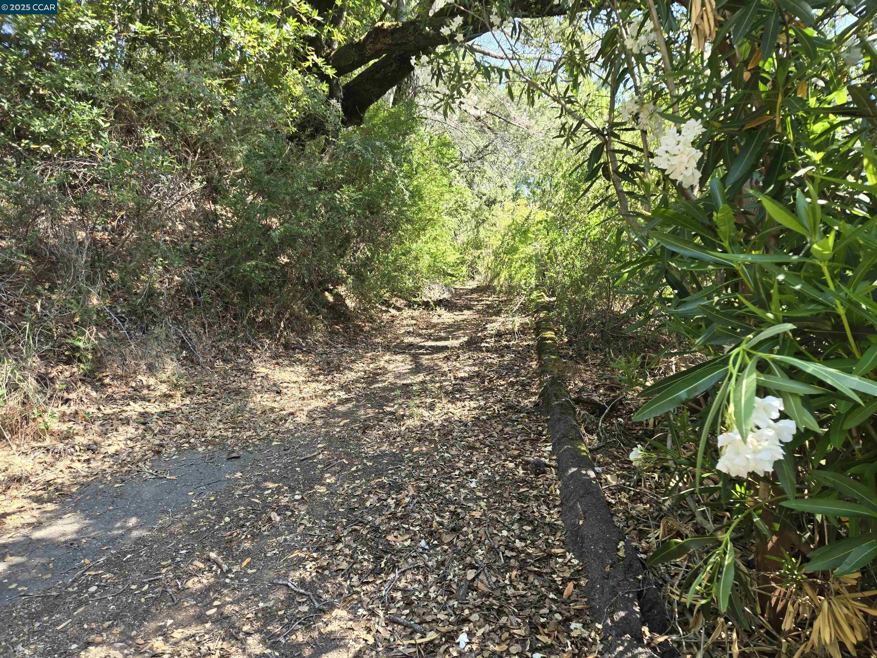 100 Black Log Rd, Kentfield, California 94904, ,Land,For Sale,100 Black Log Rd,41103216