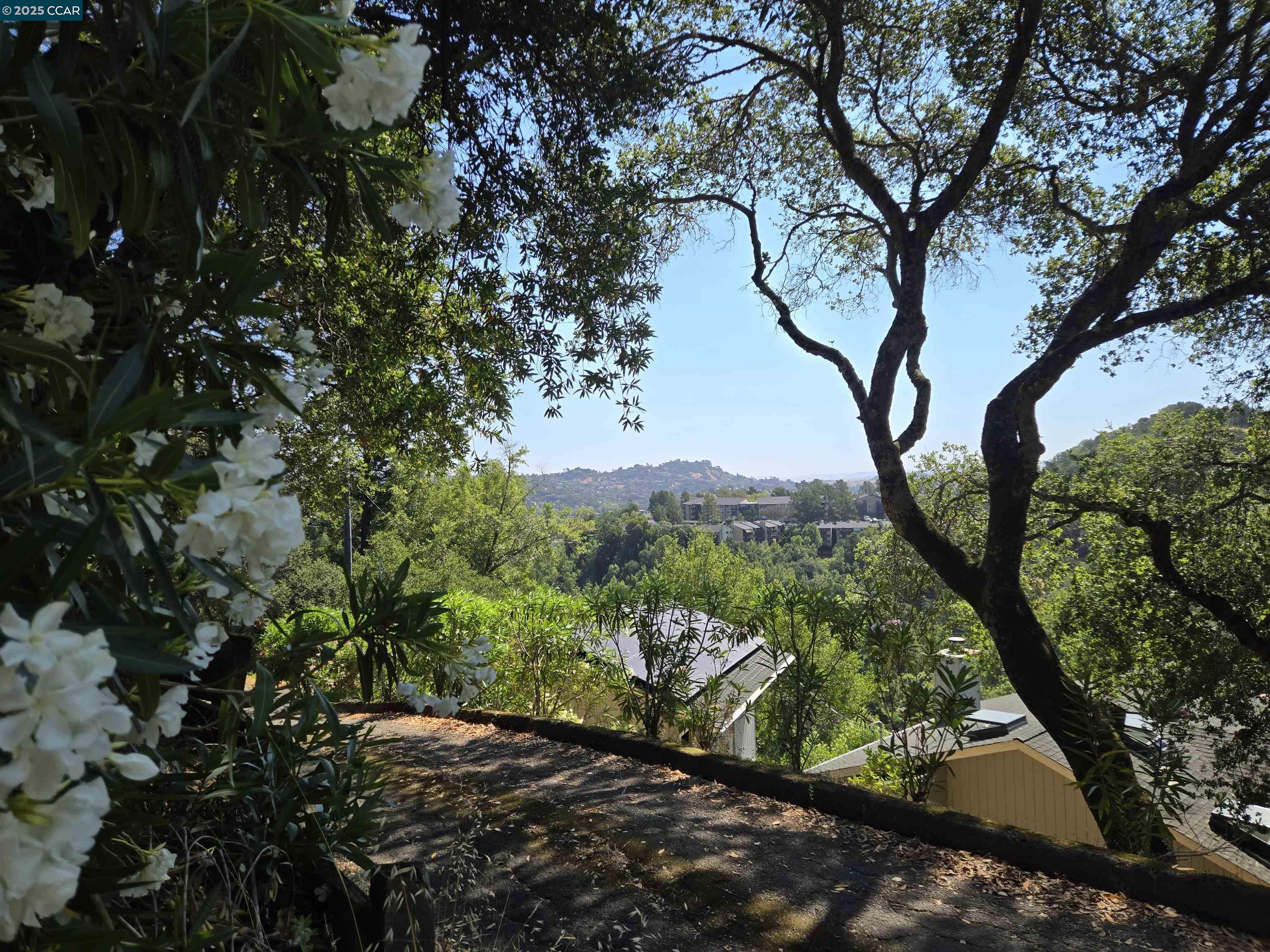 100 Black Log Rd, Kentfield, California 94904, ,Land,For Sale,100 Black Log Rd,41103216