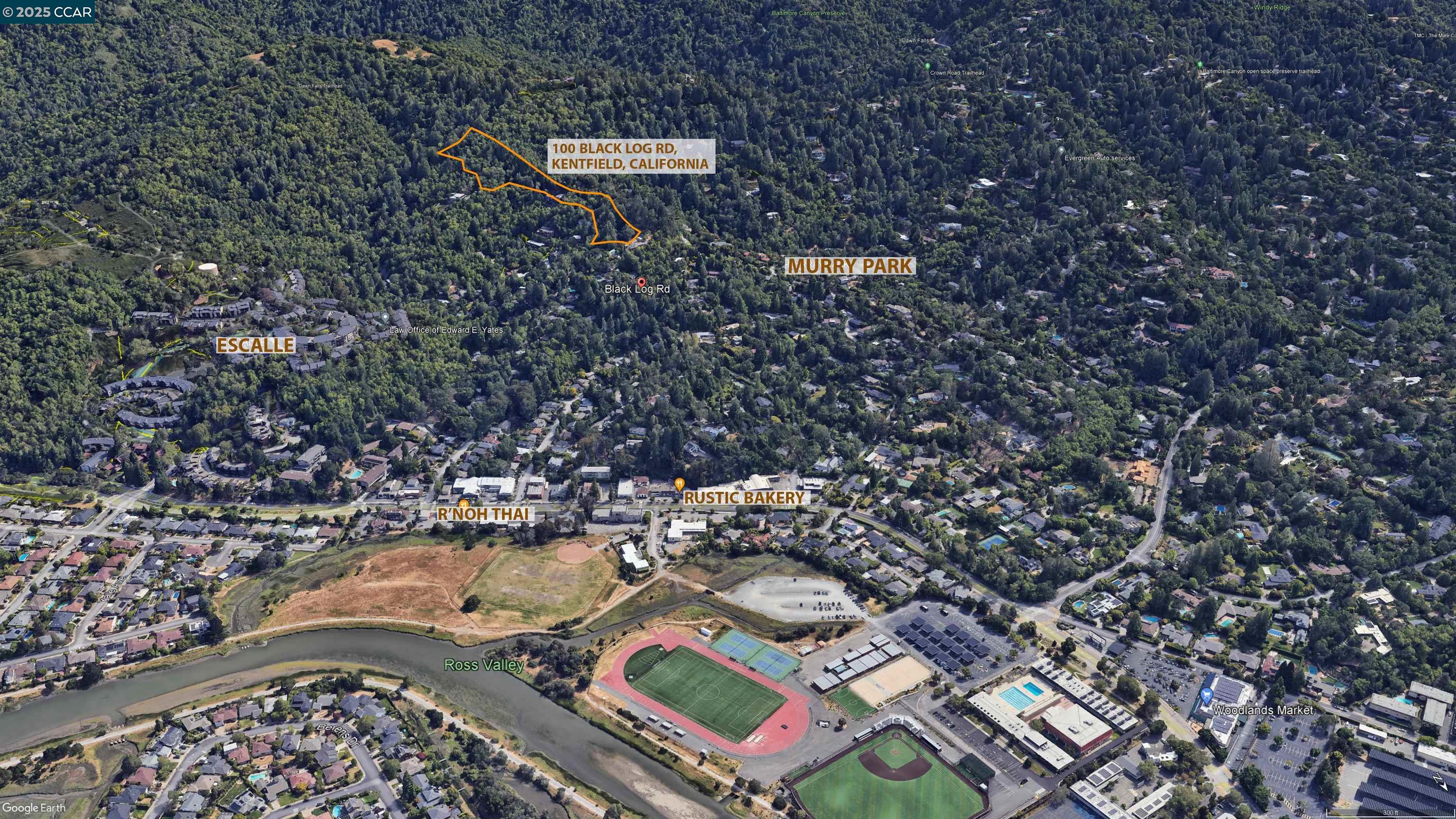 100 Black Log Rd, Kentfield, California 94904, ,Land,For Sale,100 Black Log Rd,41103216