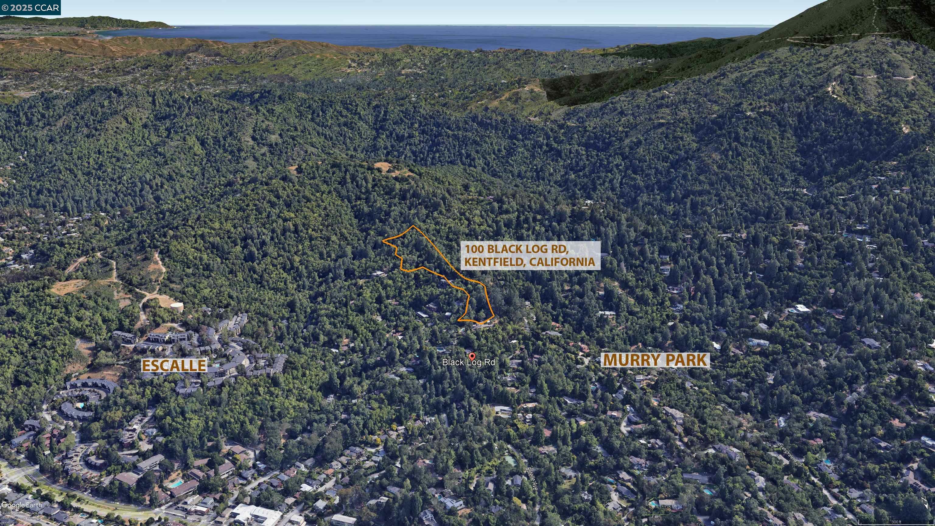 100 Black Log Rd, Kentfield, California 94904, ,Land,For Sale,100 Black Log Rd,41103216