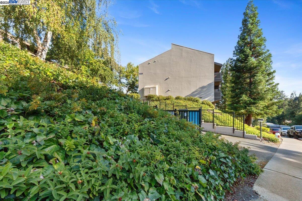 Detail Gallery Image 32 of 44 For 2067 Ascot Dr #245,  Moraga,  CA 94556 - 1 Beds | 1 Baths