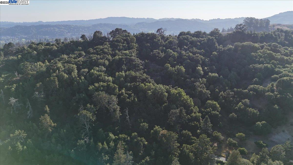 Detail Gallery Image 41 of 44 For 2067 Ascot Dr #245,  Moraga,  CA 94556 - 1 Beds | 1 Baths