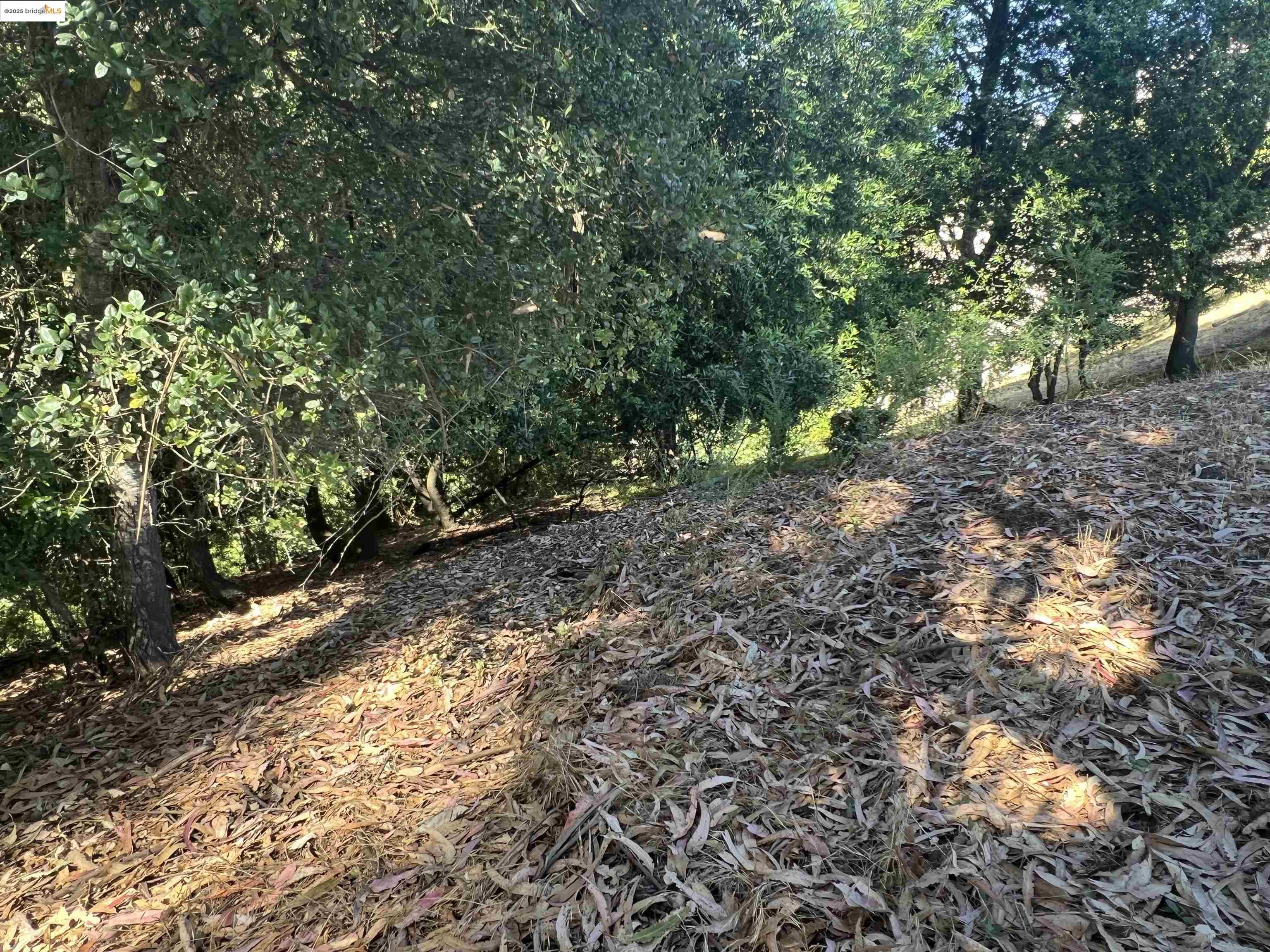 82 Oakwood Ct, Oakland, California 94611, ,Land,For Sale,82 Oakwood Ct,41103258