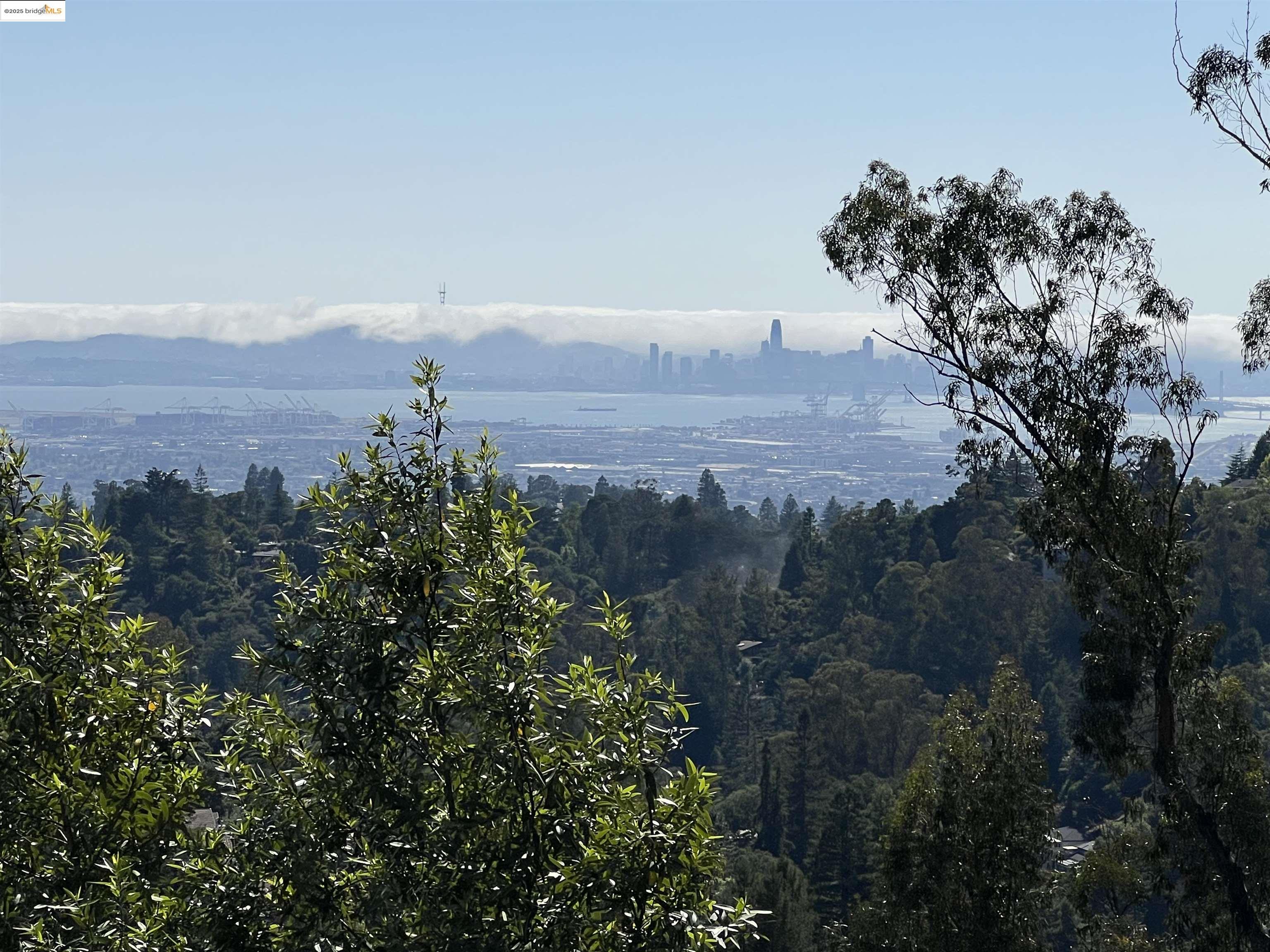 82 Oakwood Ct, Oakland, California 94611, ,Land,For Sale,82 Oakwood Ct,41103258
