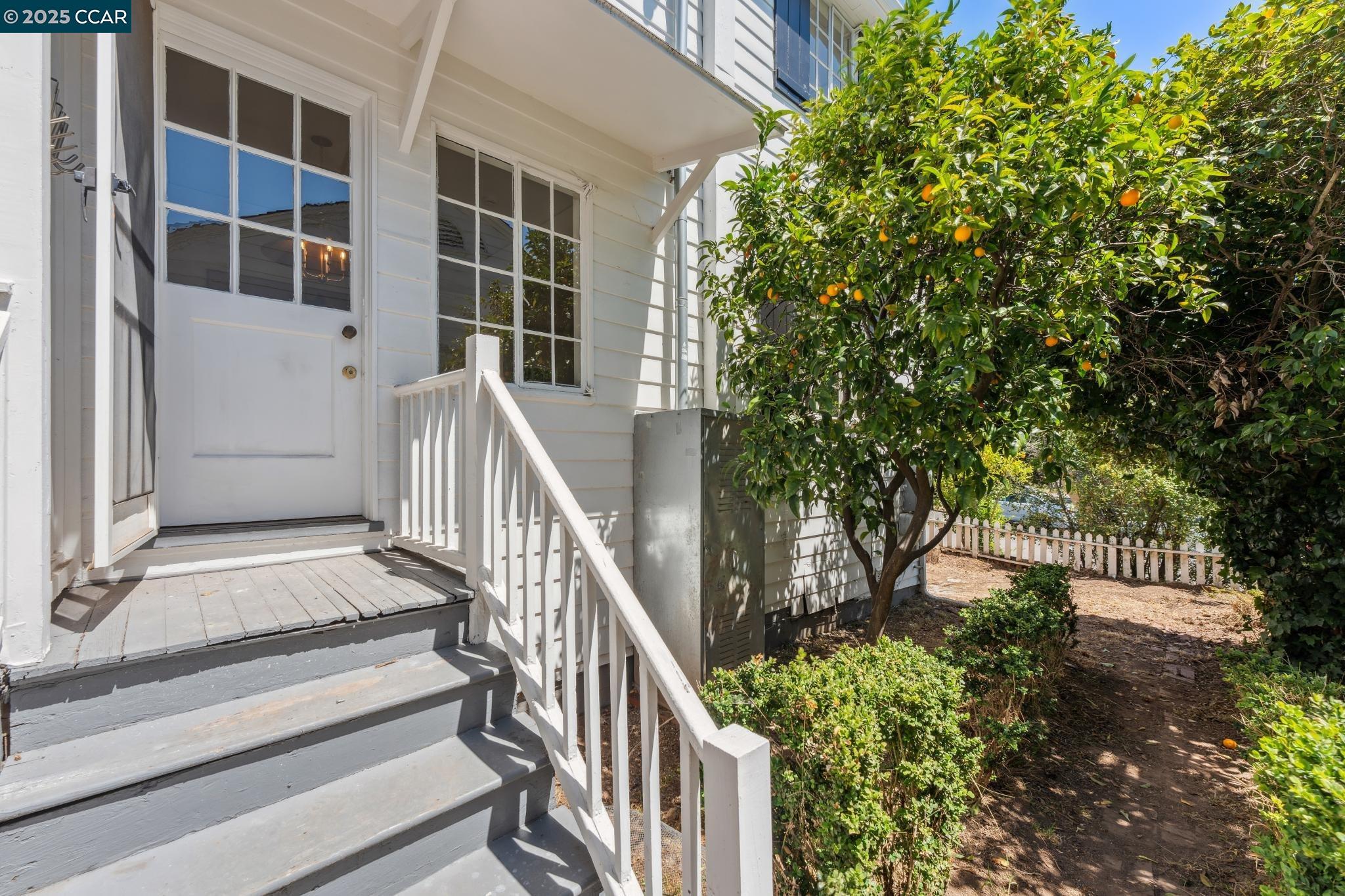2450 Hillside Ave, Berkeley, California 94704, 3 Bedrooms Bedrooms, 7 Rooms Rooms,1 BathroomBathrooms,Residential,For Sale,2450 Hillside Ave,41103269