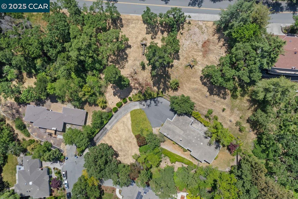 645 Evelyn Ct, Lafayette, California 94549, 4 Bedrooms Bedrooms, 8 Rooms Rooms,2 BathroomsBathrooms,Residential,For Sale,645 Evelyn Ct,41103283
