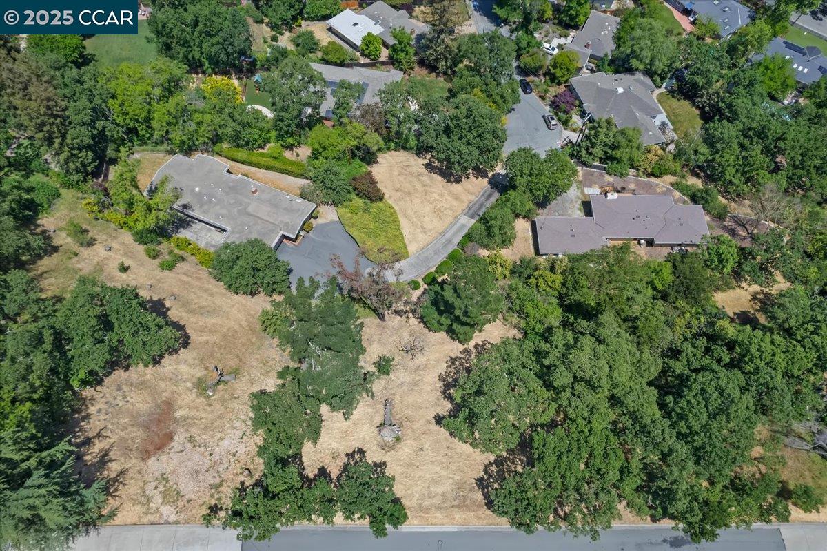 645 Evelyn Ct, Lafayette, California 94549, 4 Bedrooms Bedrooms, 8 Rooms Rooms,2 BathroomsBathrooms,Residential,For Sale,645 Evelyn Ct,41103283
