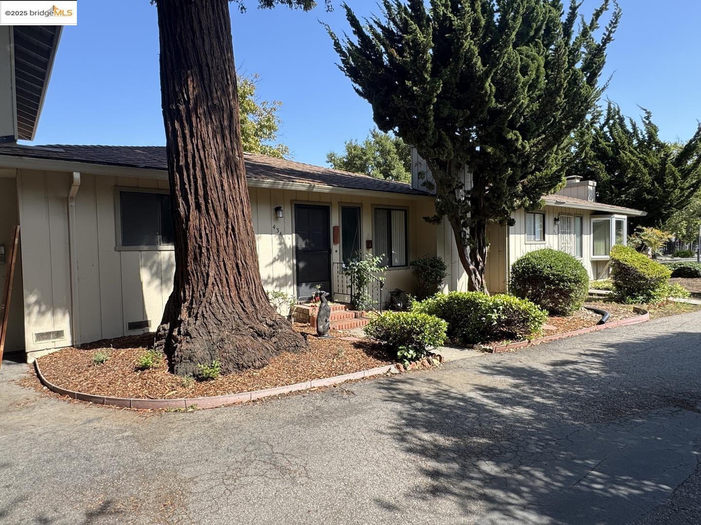 436 Walnut AVE, Santa Cruz, California 95060, 2 Bedrooms Bedrooms, 4 Rooms Rooms,1 BathroomBathrooms,Residential,For Sale,436 Walnut AVE,41103291