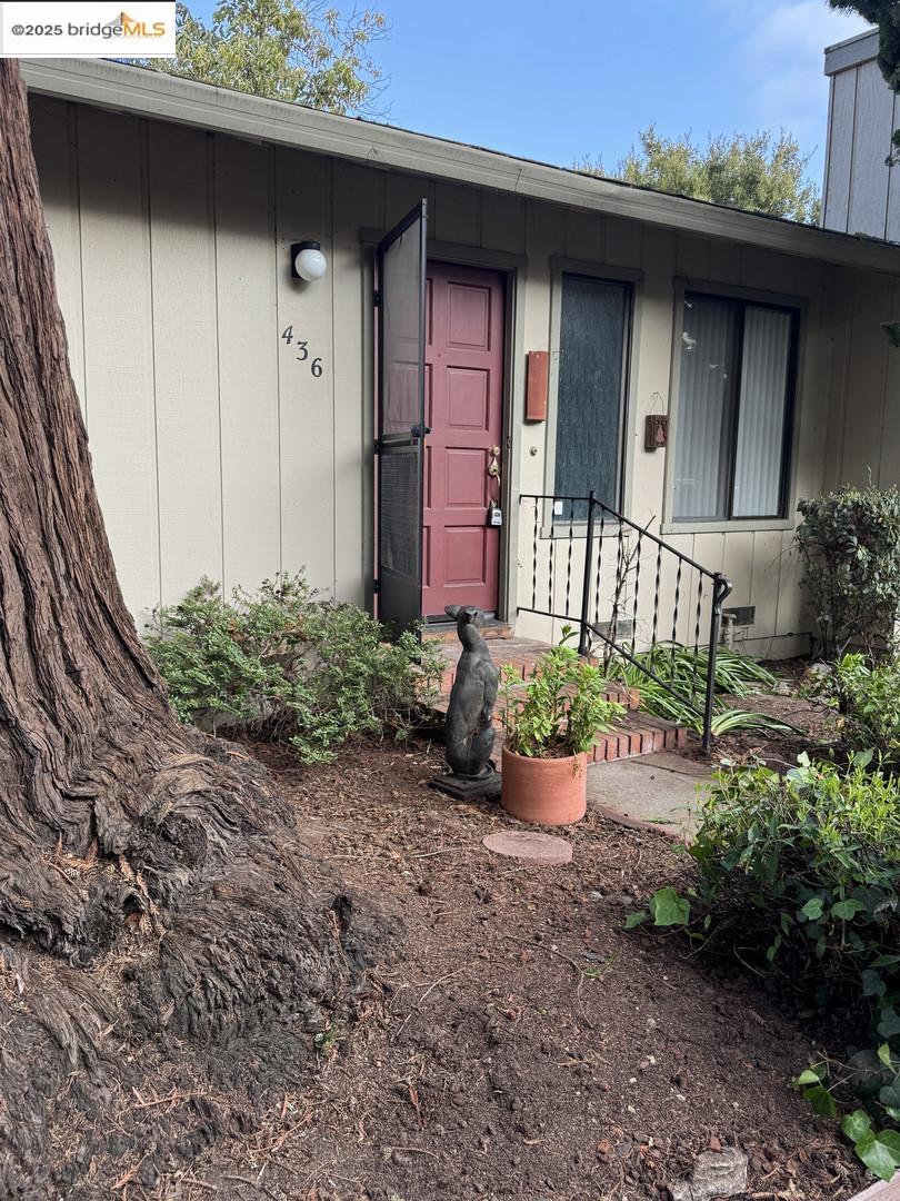 436 Walnut AVE, Santa Cruz, California 95060, 2 Bedrooms Bedrooms, 4 Rooms Rooms,1 BathroomBathrooms,Residential,For Sale,436 Walnut AVE,41103291