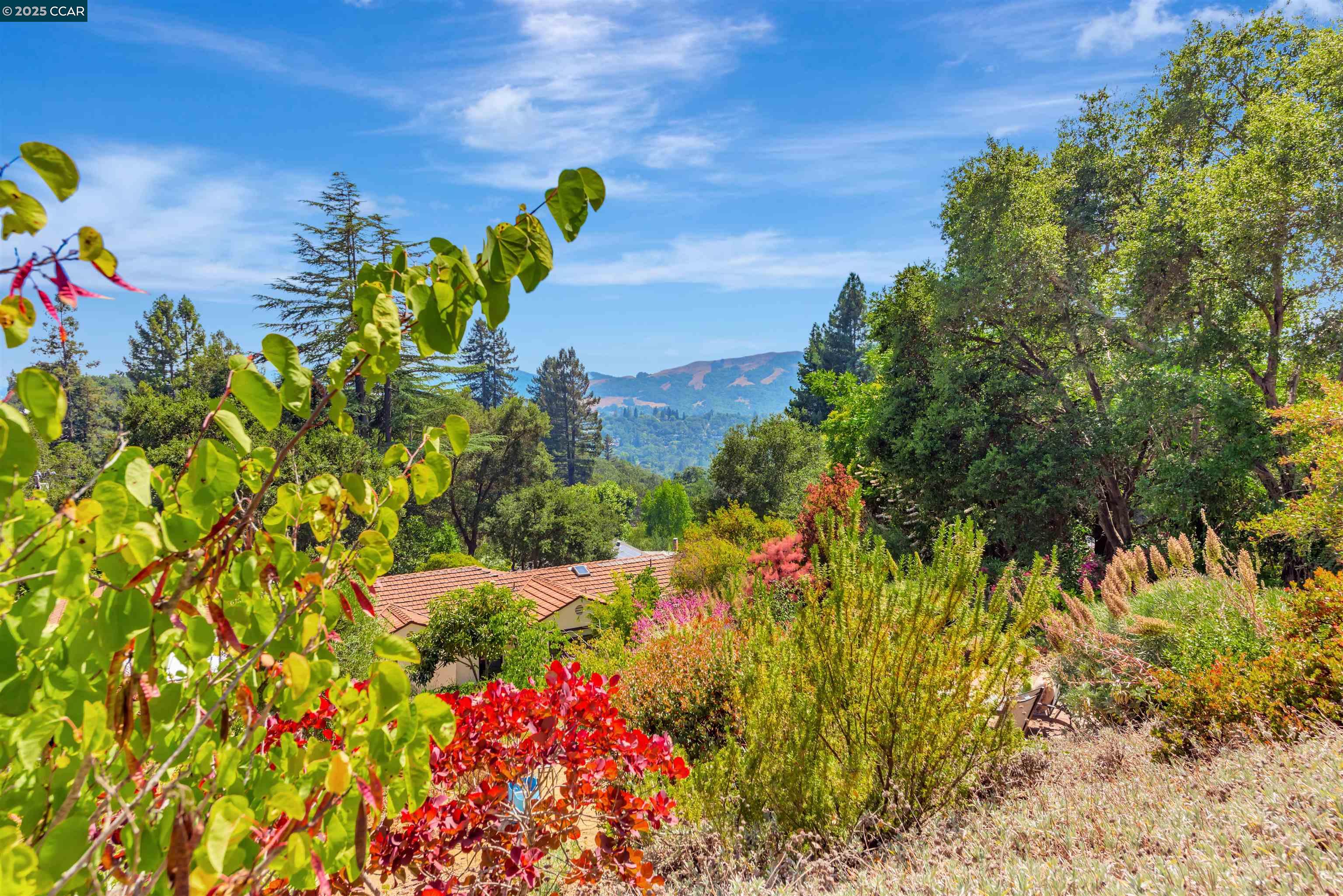 Detail Gallery Image 37 of 51 For 23 El Verano, Orinda,  CA 94563 - 4 Beds | 3 Baths
