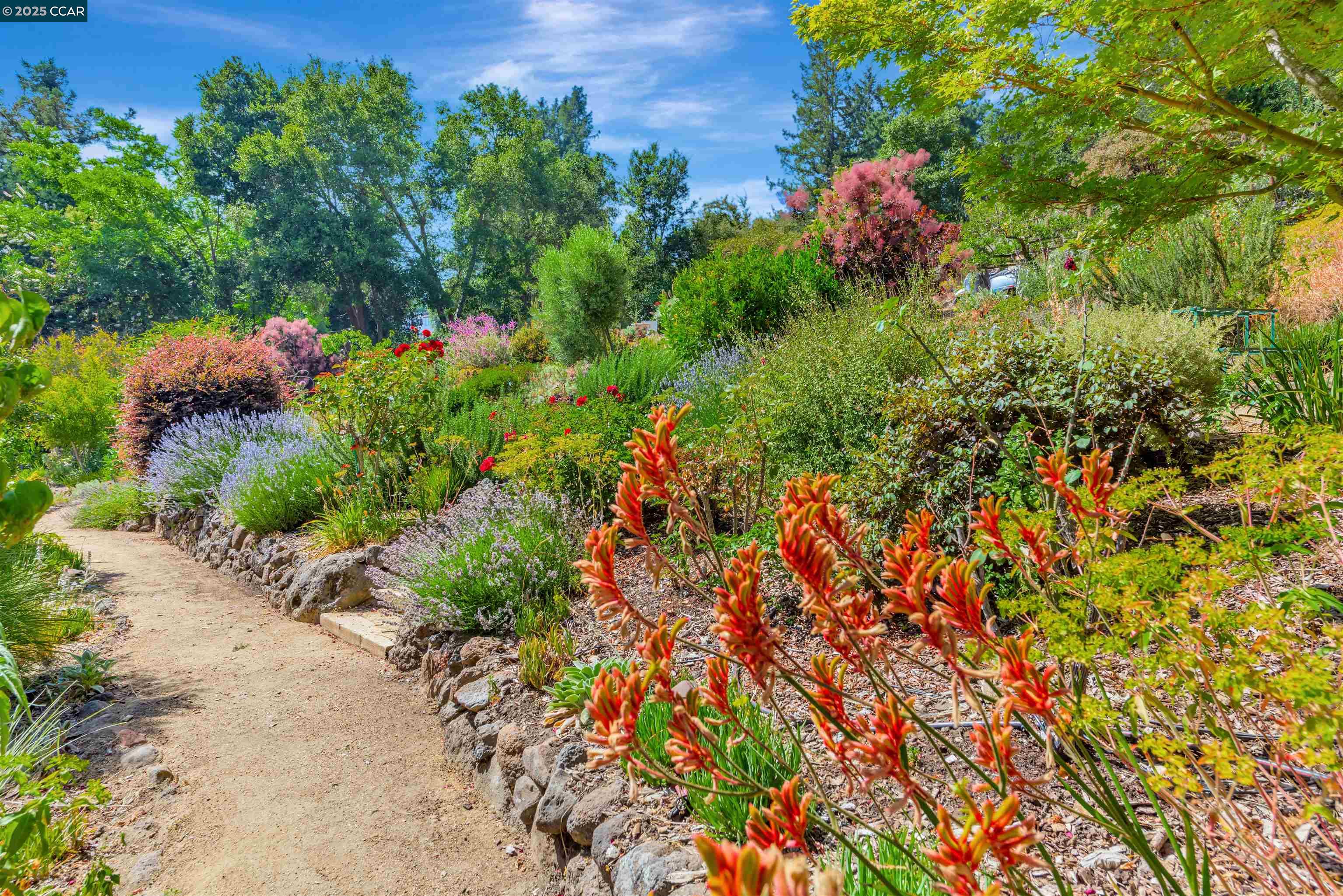 Detail Gallery Image 39 of 51 For 23 El Verano, Orinda,  CA 94563 - 4 Beds | 3 Baths
