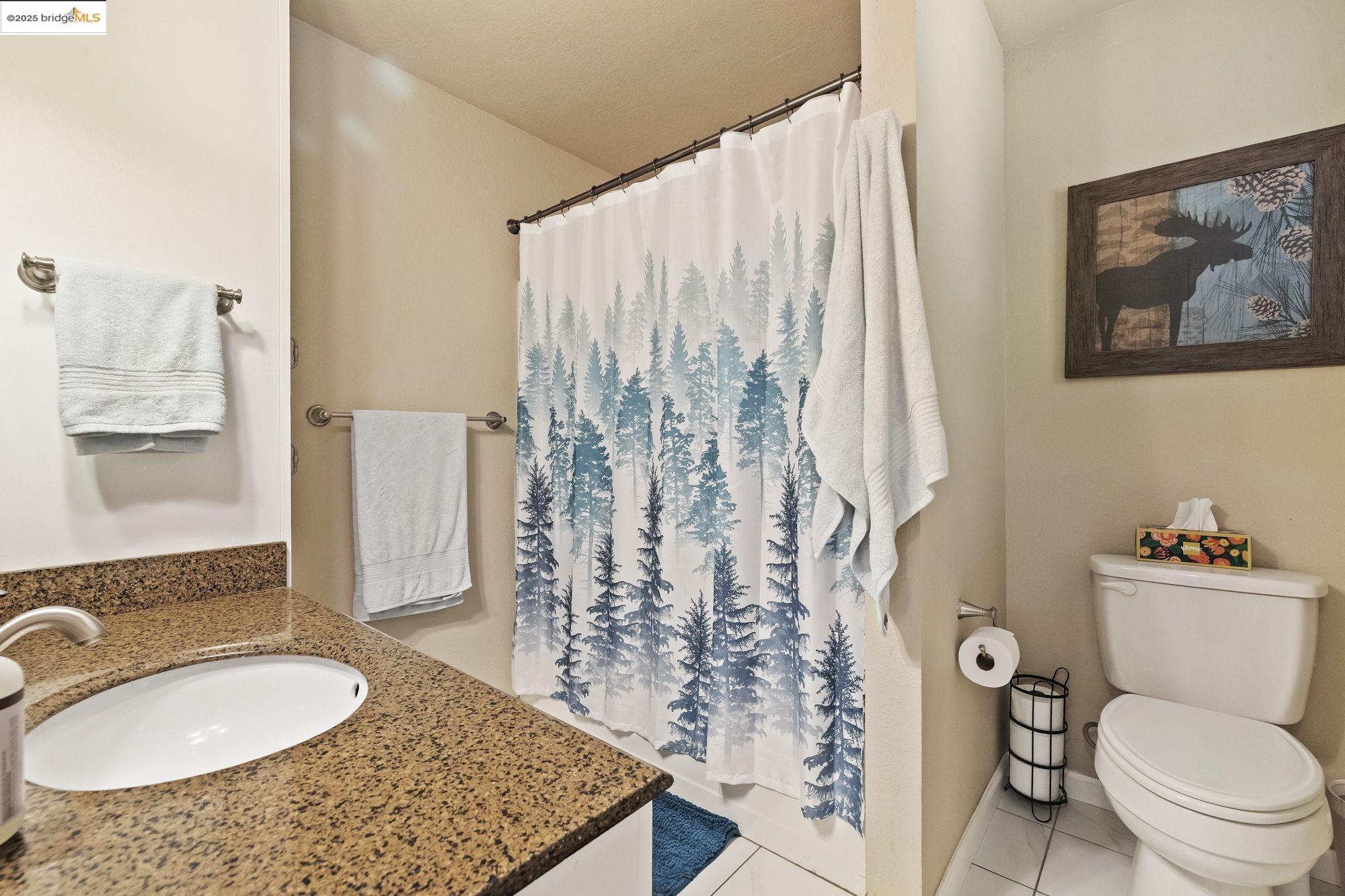 Detail Gallery Image 11 of 36 For 23406 Tanager Dr, Twain Harte,  CA 95383 - 3 Beds | 2 Baths