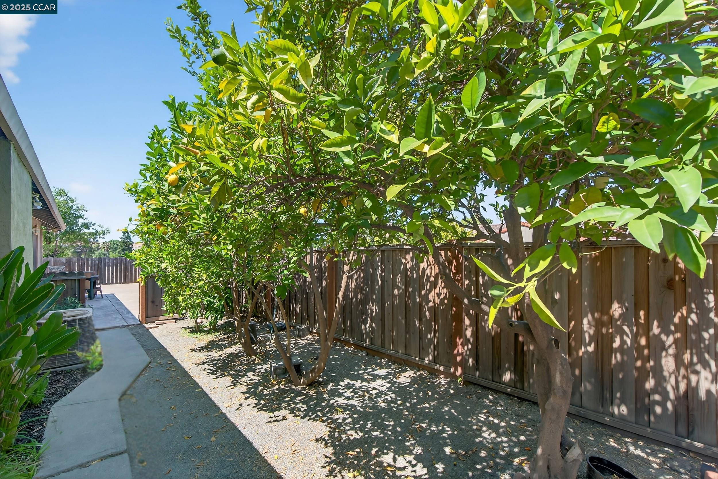 Detail Gallery Image 53 of 53 For 1827 Leo Ln, Concord,  CA 94521 - 4 Beds | 2 Baths