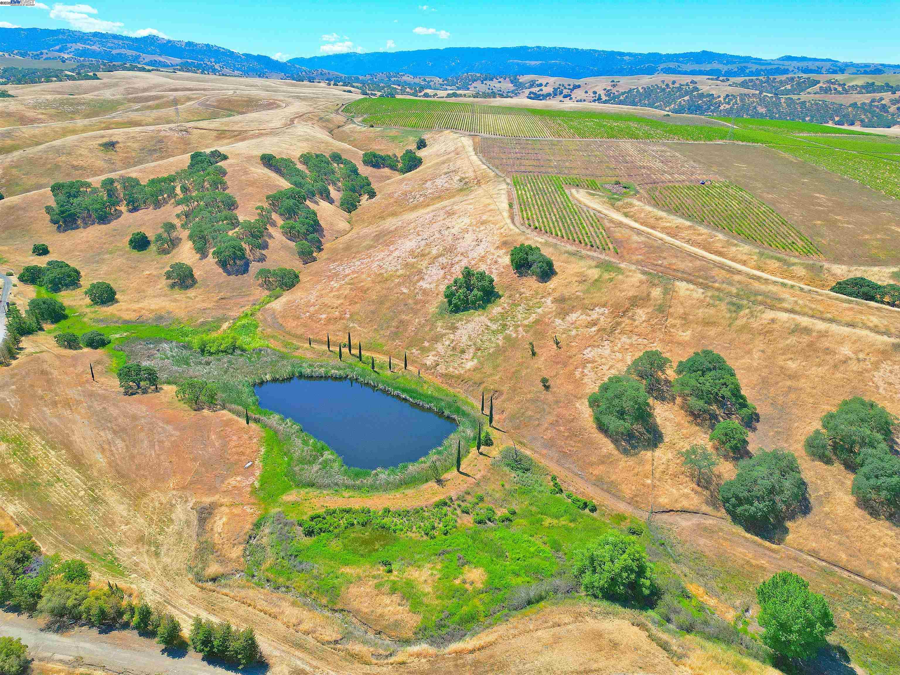 5625 Greenville Rd, Livermore, California 94550, ,Land,For Sale,5625 Greenville Rd,41103338