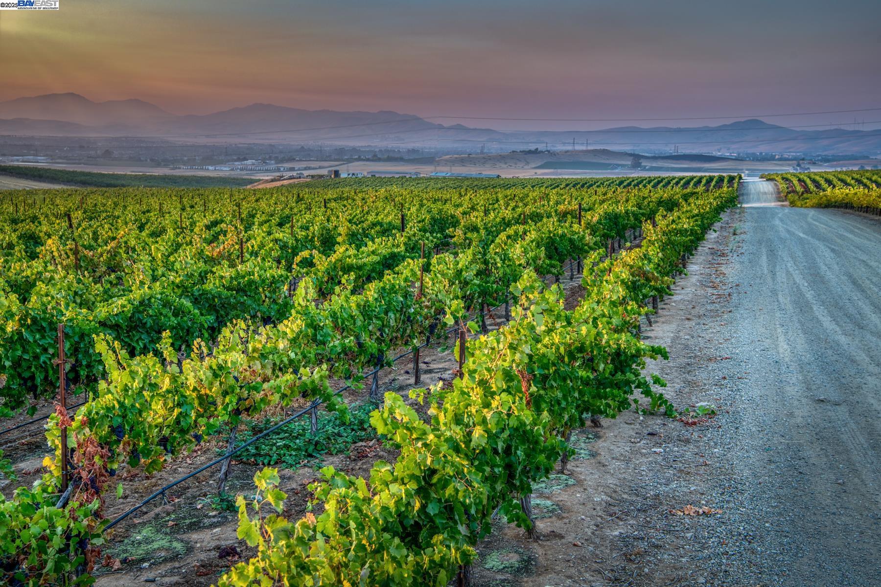 5625 Greenville Rd, Livermore, California 94550, ,Land,For Sale,5625 Greenville Rd,41103338