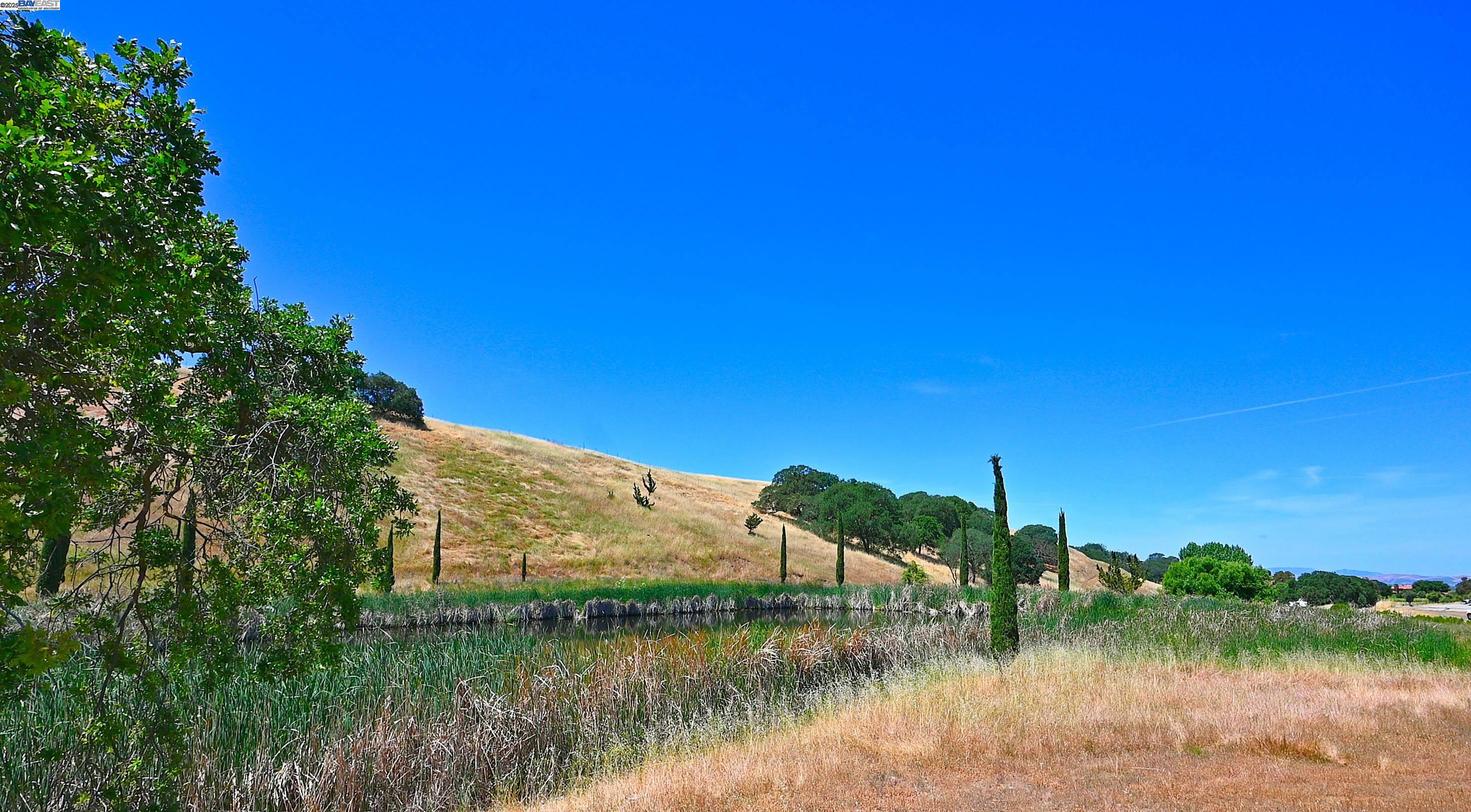 5625 Greenville Rd, Livermore, California 94550, ,Land,For Sale,5625 Greenville Rd,41103338