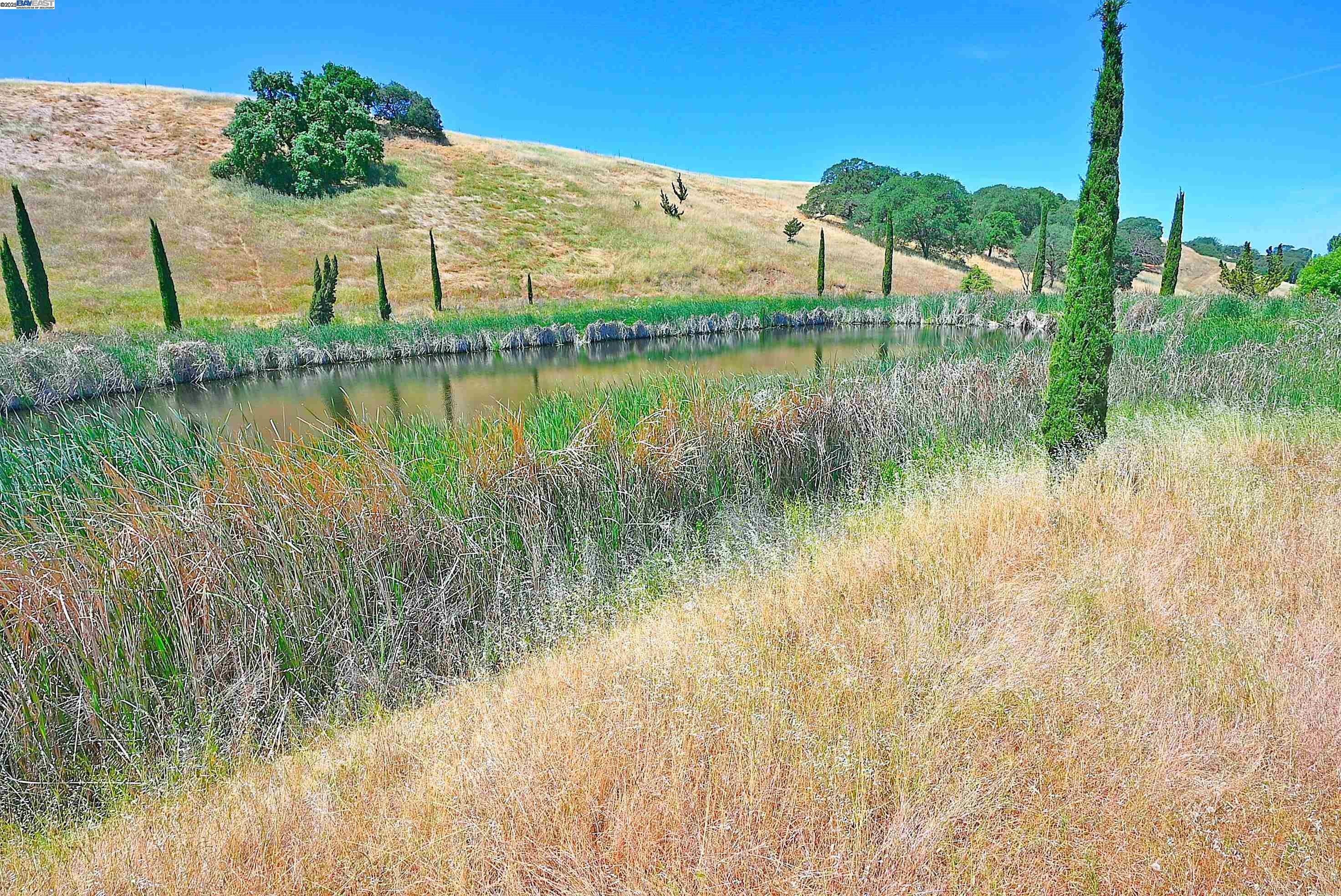 5625 Greenville Rd, Livermore, California 94550, ,Land,For Sale,5625 Greenville Rd,41103338