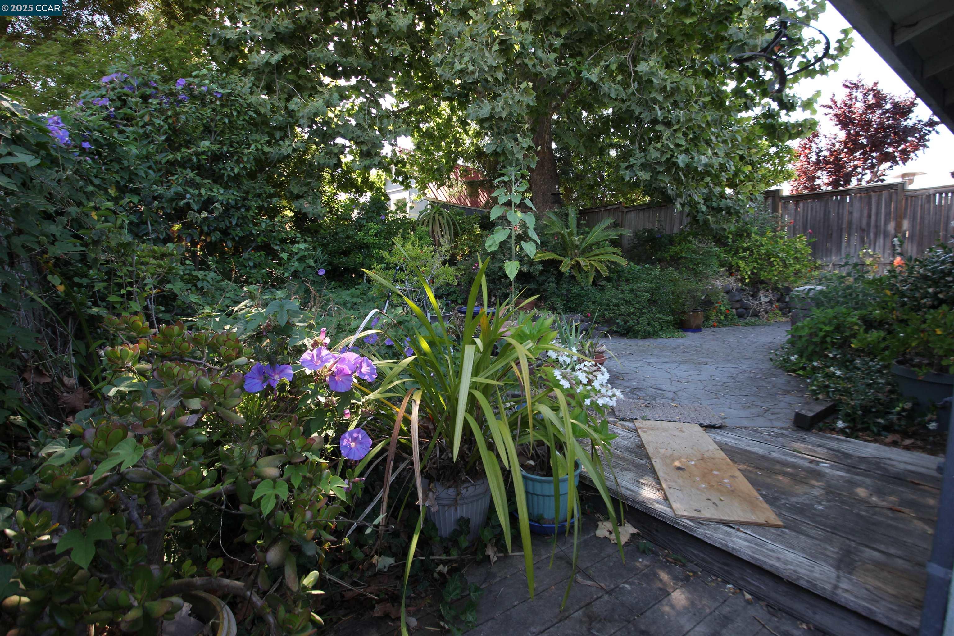 2136 Monterey Ave, Martinez, California 94553, 2 Bedrooms Bedrooms, 5 Rooms Rooms,1 BathroomBathrooms,Residential,For Sale,2136 Monterey Ave,41103340