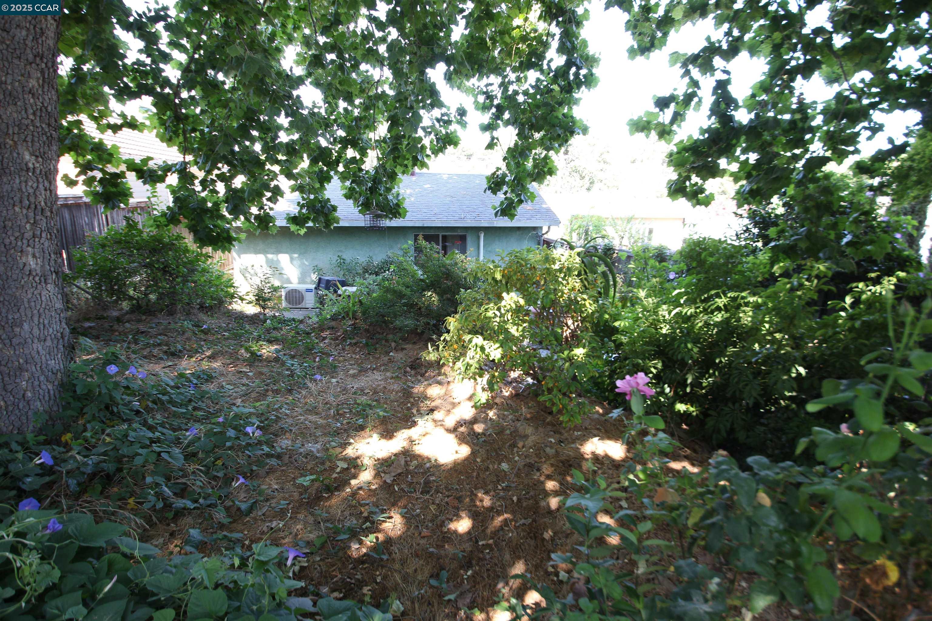2136 Monterey Ave, Martinez, California 94553, 2 Bedrooms Bedrooms, 5 Rooms Rooms,1 BathroomBathrooms,Residential,For Sale,2136 Monterey Ave,41103340
