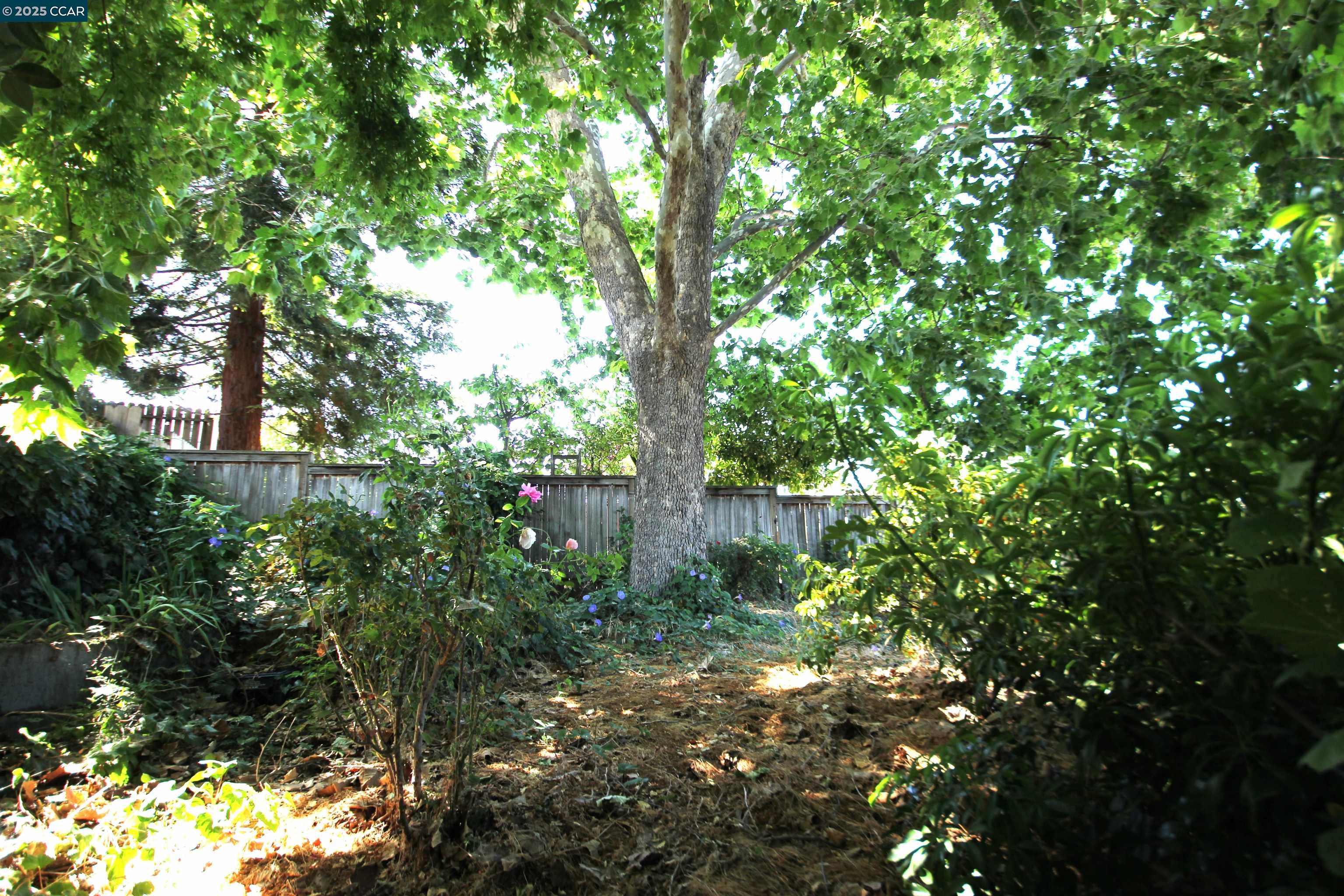 2136 Monterey Ave, Martinez, California 94553, 2 Bedrooms Bedrooms, 5 Rooms Rooms,1 BathroomBathrooms,Residential,For Sale,2136 Monterey Ave,41103340