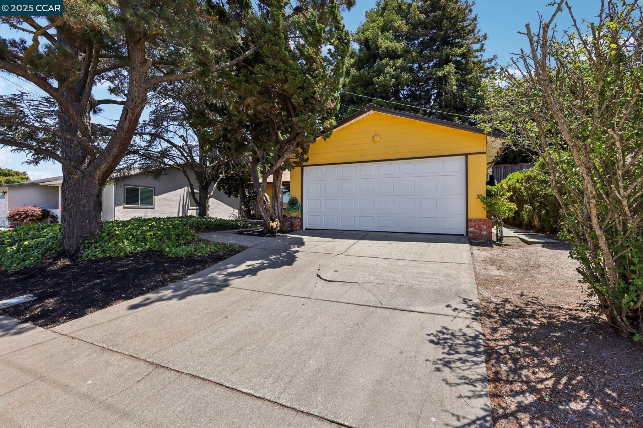 2344 Shannon Ave, San Pablo, California 94806, 4 Bedrooms Bedrooms, 7 Rooms Rooms,2 BathroomsBathrooms,Residential,For Sale,2344 Shannon Ave,41103382