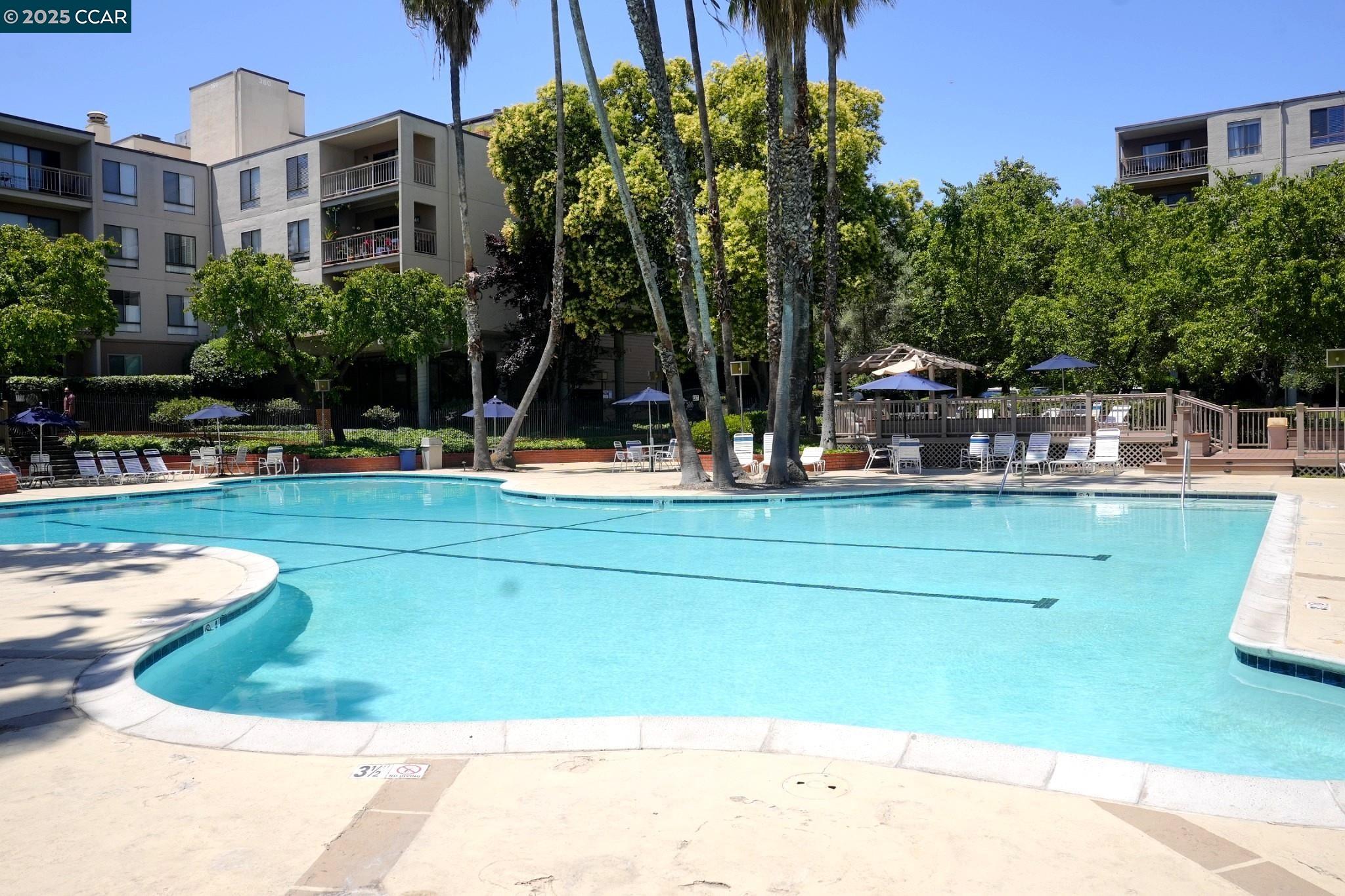 440 N Civic Dr # 203, Walnut Creek, California 94596, 1 Bedroom Bedrooms, 4 Rooms Rooms,1 BathroomBathrooms,Residential,For Sale,440 N Civic Dr # 203,41103395
