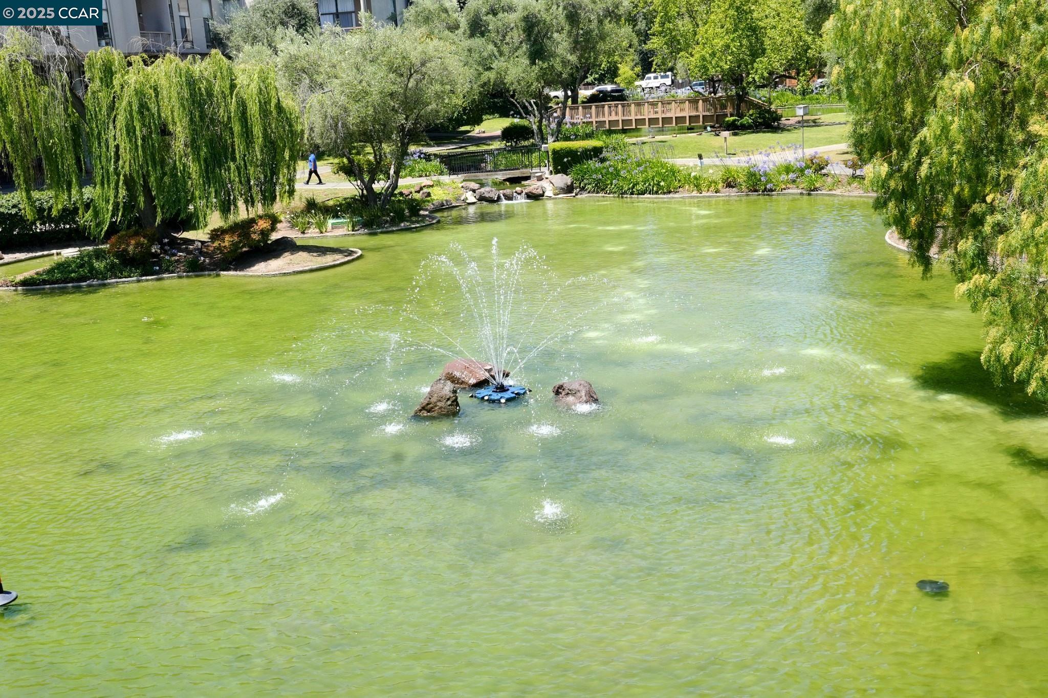 440 N Civic Dr # 203, Walnut Creek, California 94596, 1 Bedroom Bedrooms, 4 Rooms Rooms,1 BathroomBathrooms,Residential,For Sale,440 N Civic Dr # 203,41103395