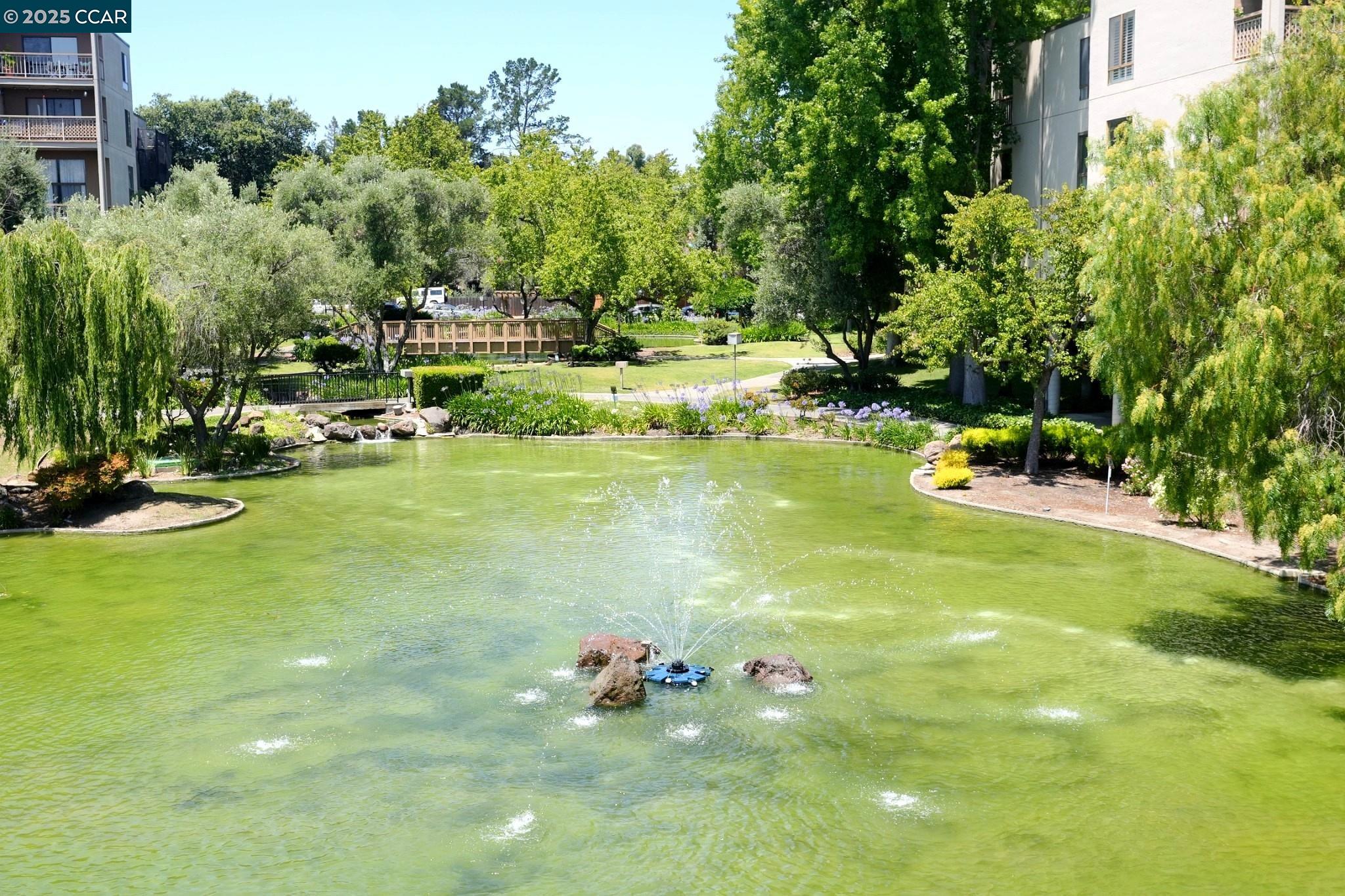 440 N Civic Dr # 203, Walnut Creek, California 94596, 1 Bedroom Bedrooms, 4 Rooms Rooms,1 BathroomBathrooms,Residential,For Sale,440 N Civic Dr # 203,41103395